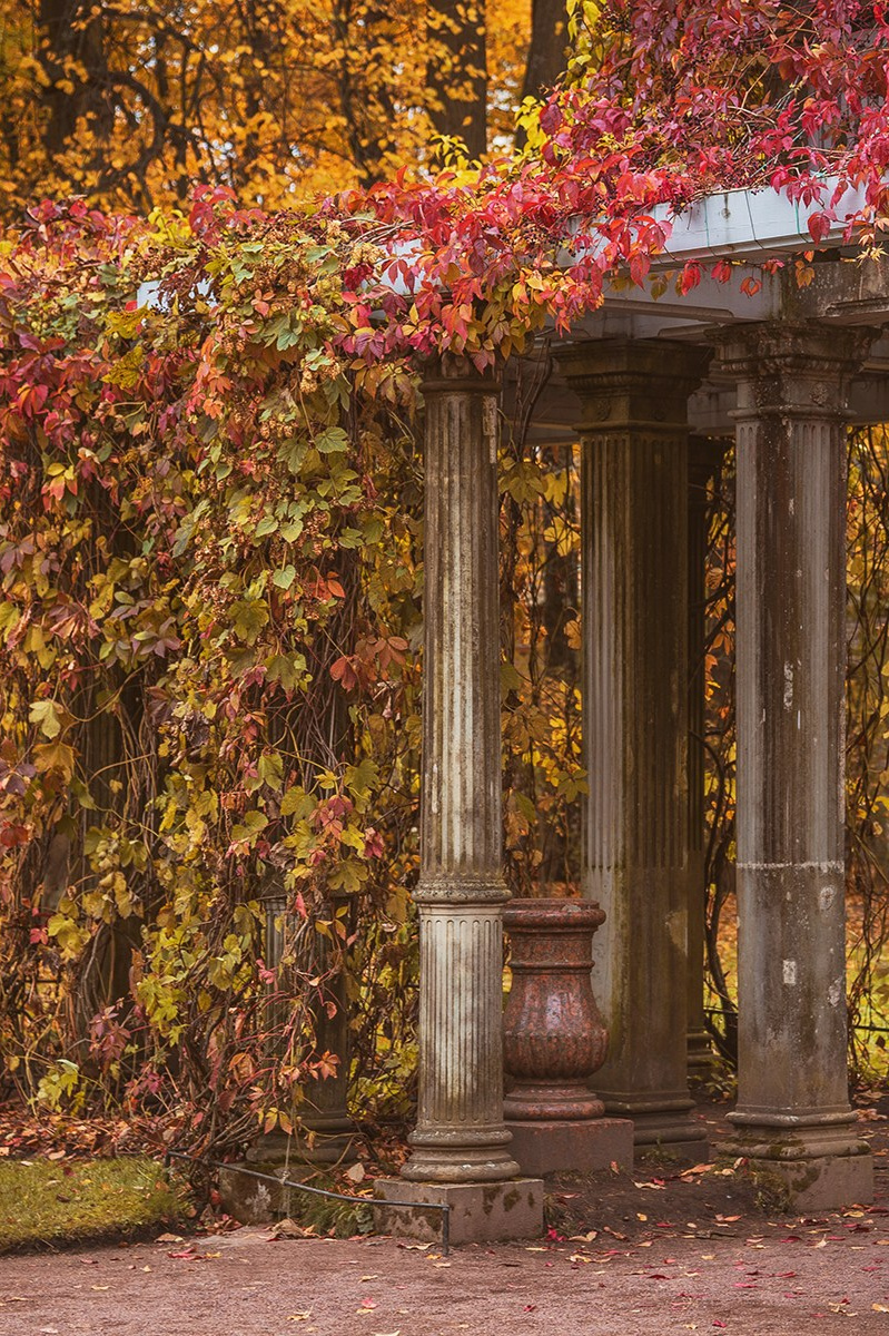 Осень в Царском Селе. Фотограф и искусствовед в Туле и Санкт-Петербурге Нелли Некрасова