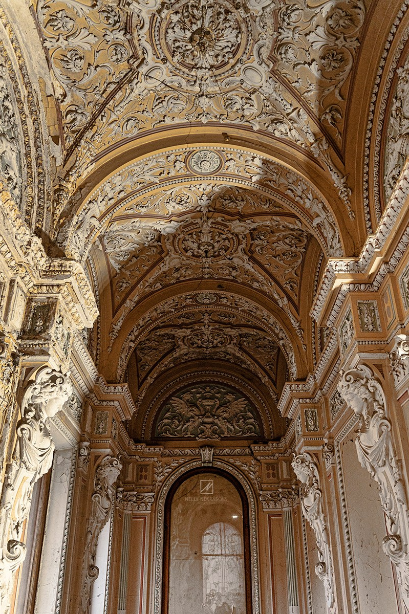 Заброшенный особняк Брусницыных на Васильевском острове. Фотограф и искусствовед в Туле и Санкт-Петербурге Нелли Некрасова