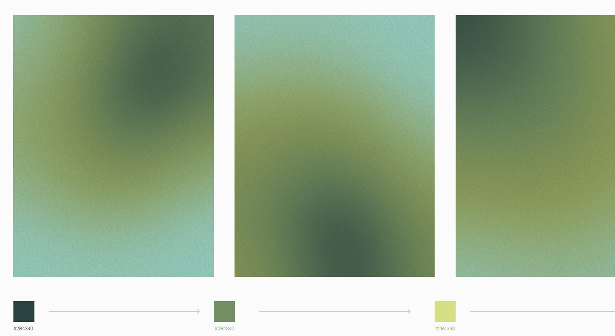 HomoSporin. Студия рекламной и предметной съемки товаров WELKO Studio