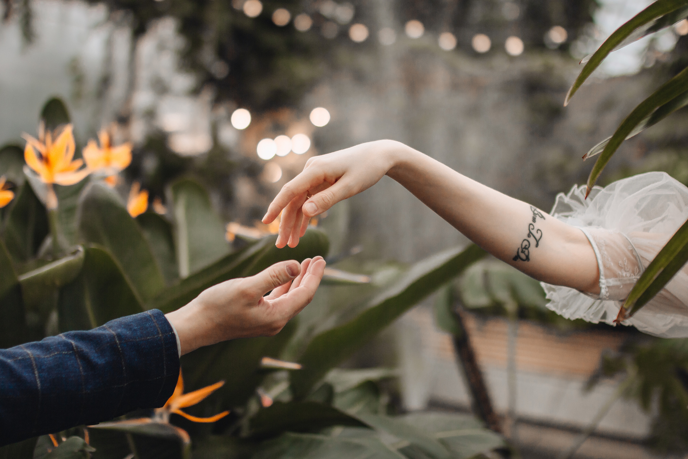 Jen.swph Свадебный фотограф