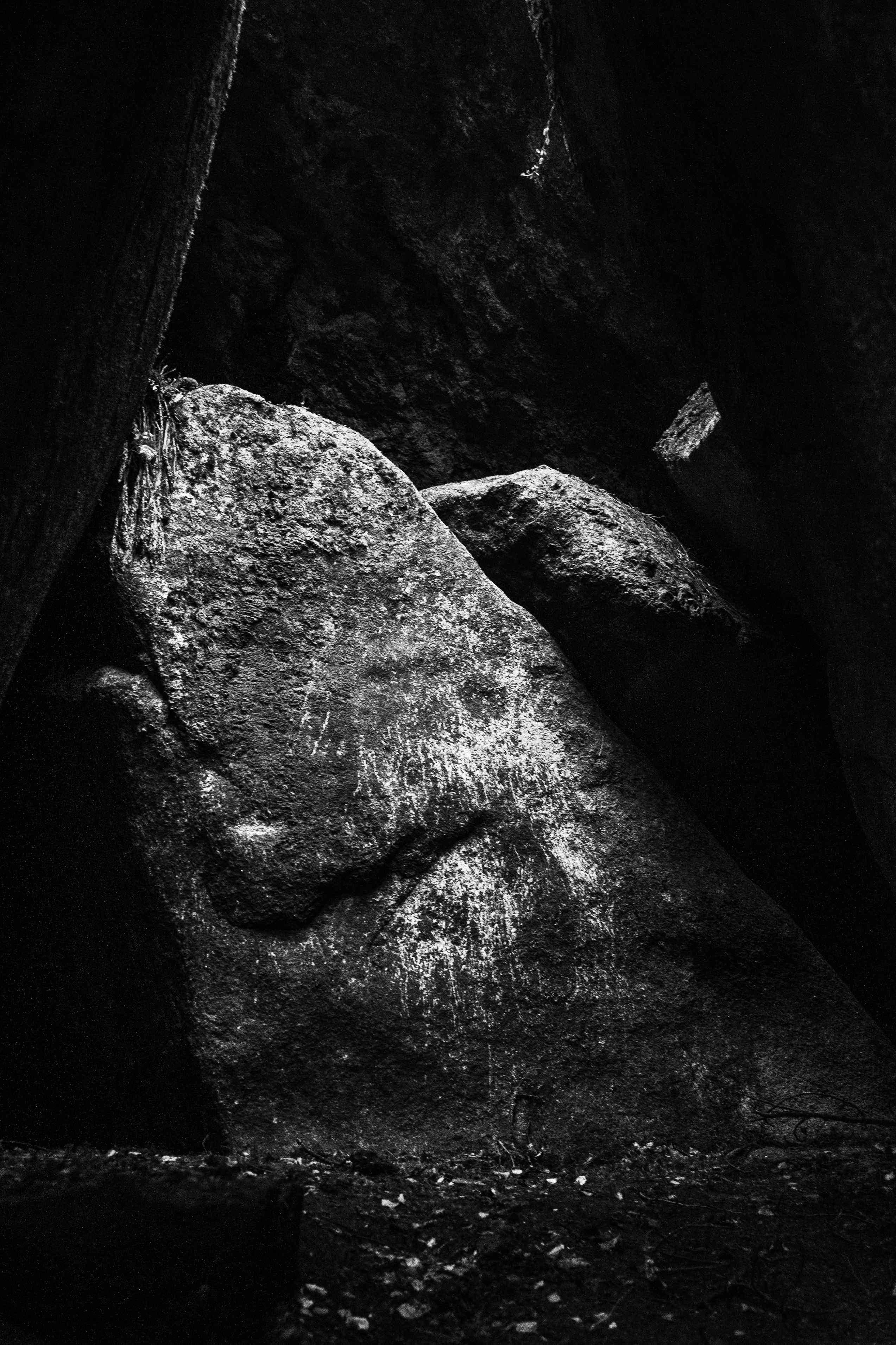 Работы, сделанные в Арт-резиденции «Красноярские столбы». Арт-фотография, терапевтическая фотография в Москве. Фотограф Анна Ермолова