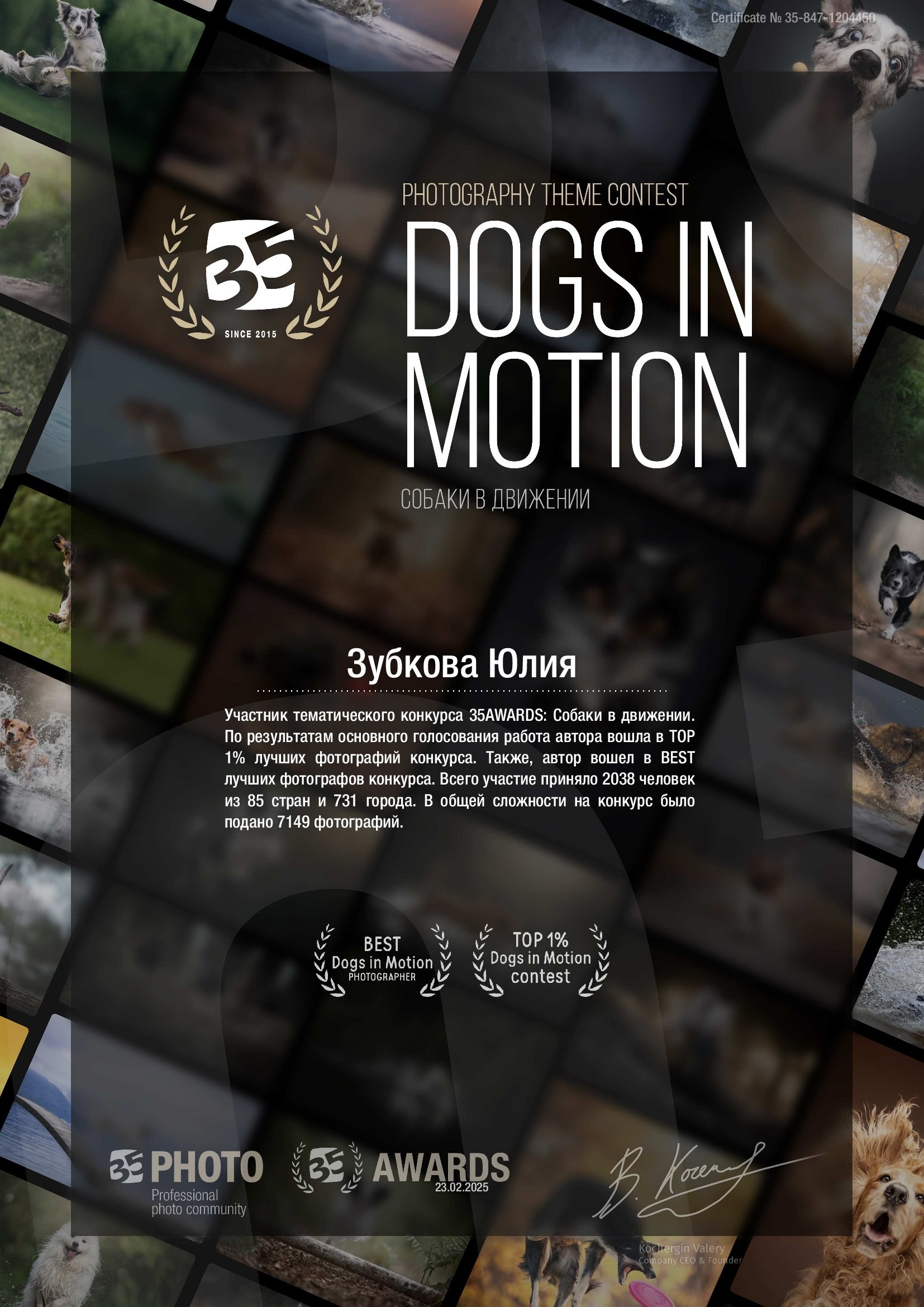 Мои достижения. Фотограф-анималист Юлия Зубкова