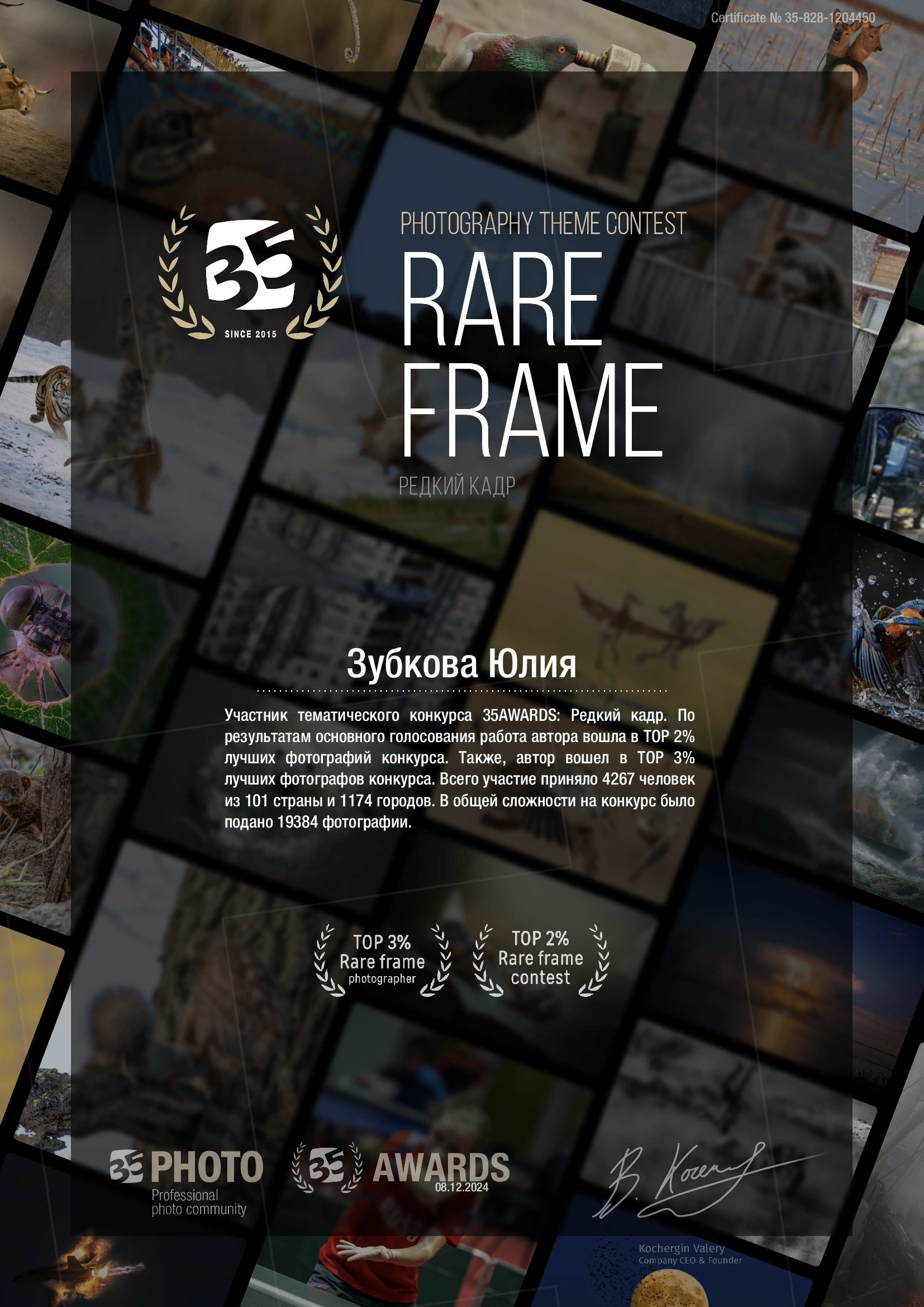 Мои достижения. Фотограф-анималист Юлия Зубкова