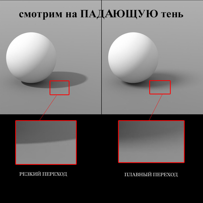 Мягкий и жесткий свет. Фото школа, обучение фотографии в Калининграде