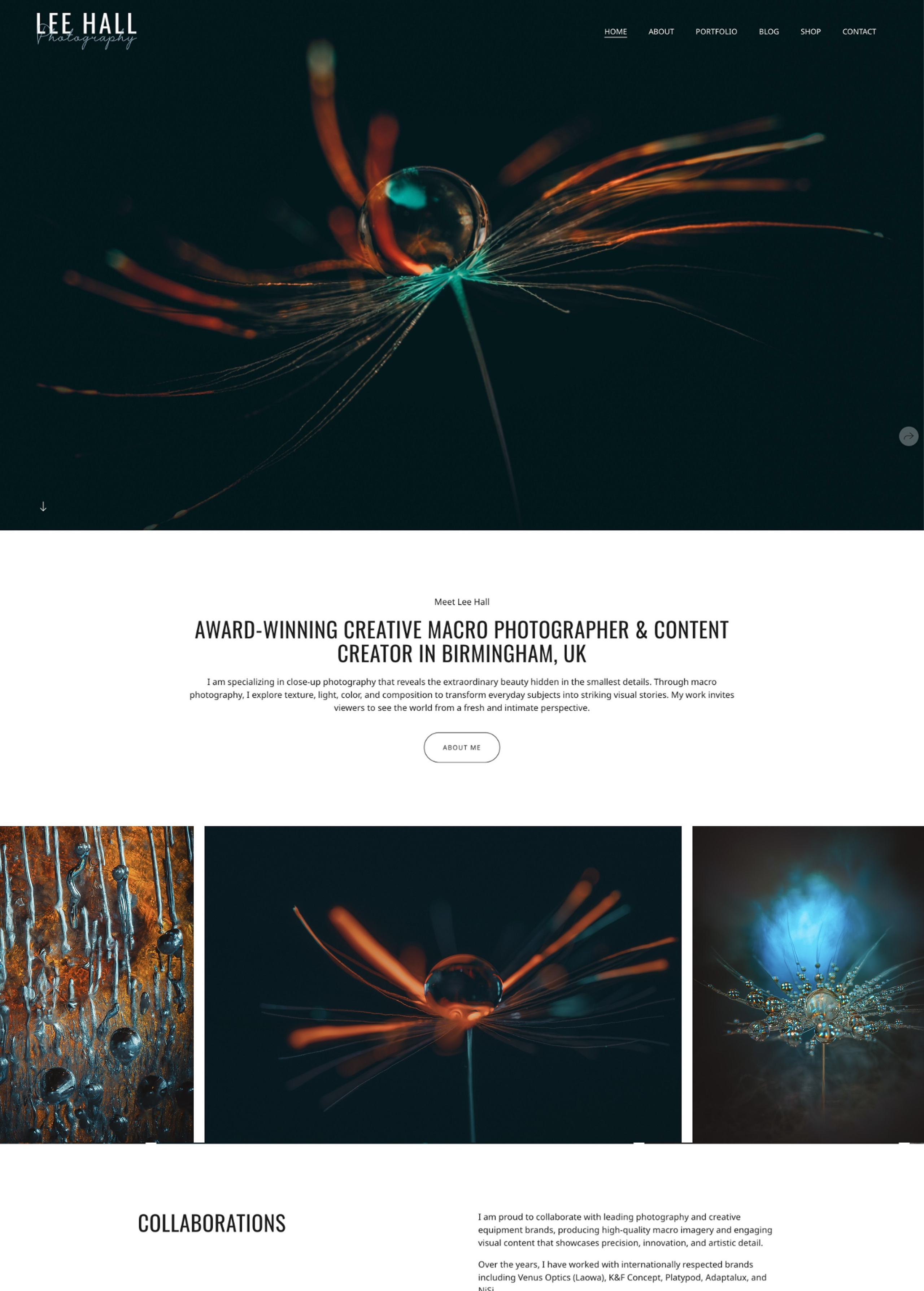 Custom website design by Wfolio