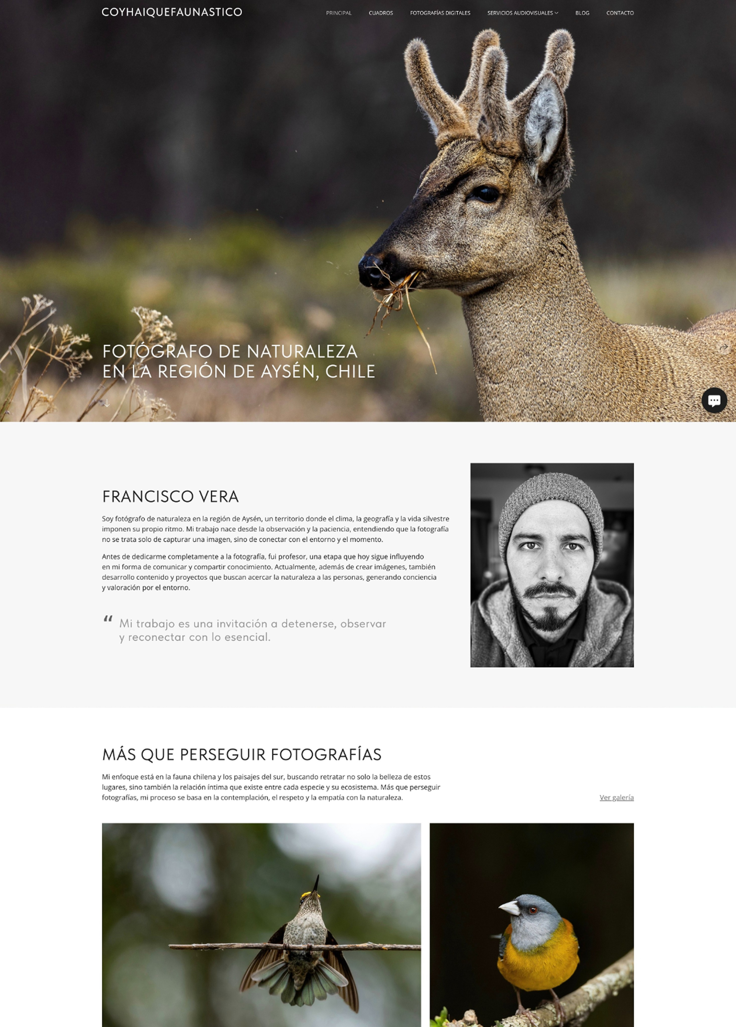 Custom website design by Wfolio