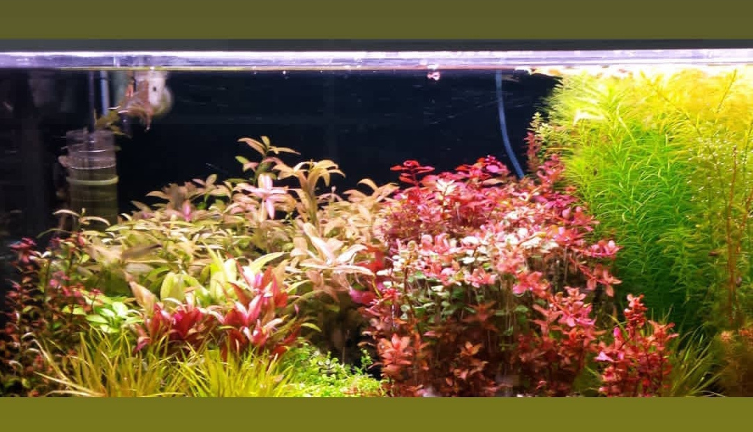 Опыт работы. Home