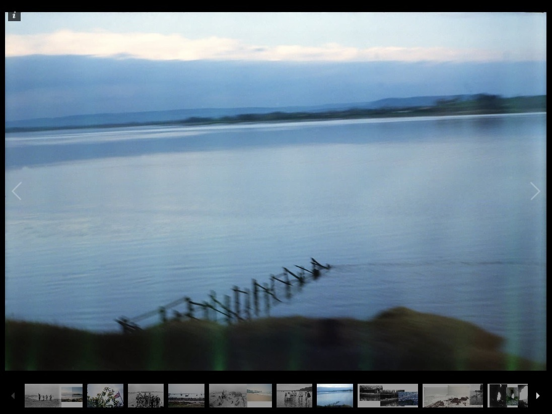 Екатерина Васильева художник, куратор и преподаватель