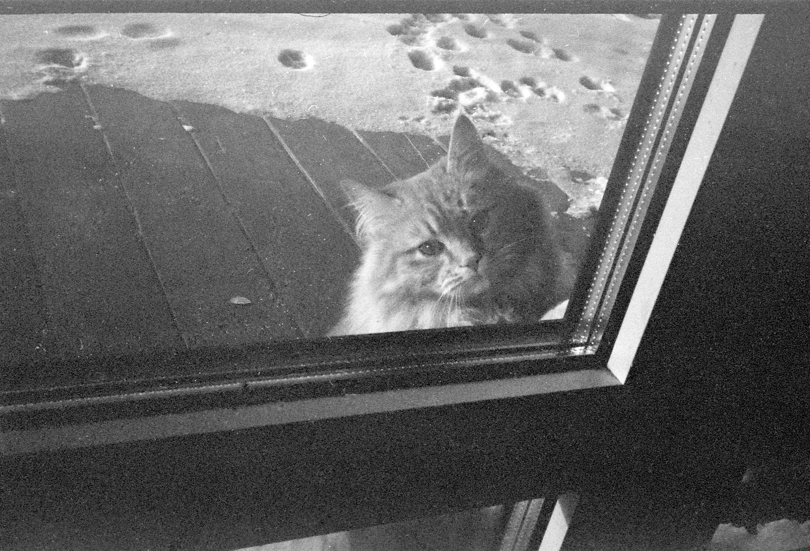 Зима муми-троллей. Artkapella|Олег Кузнецов