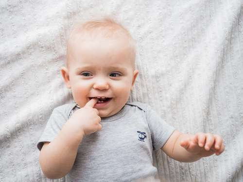 Малыша до года. Алёна Орлова Портретный фотограф Москва