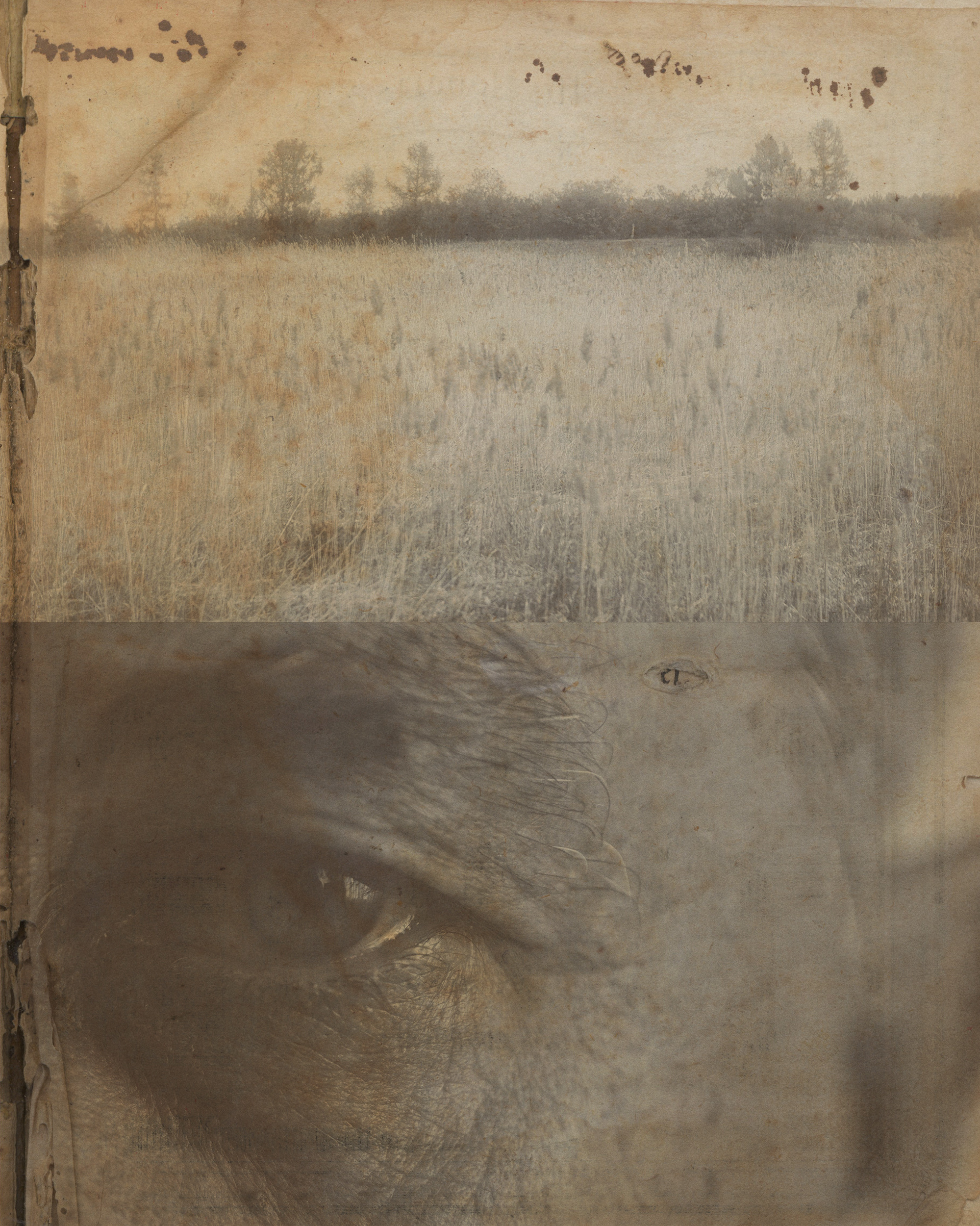 Свадебный проект «РОМЕО И ДЖУЛЬЕТТА». Фотограф в Омске Екатерина Павлова