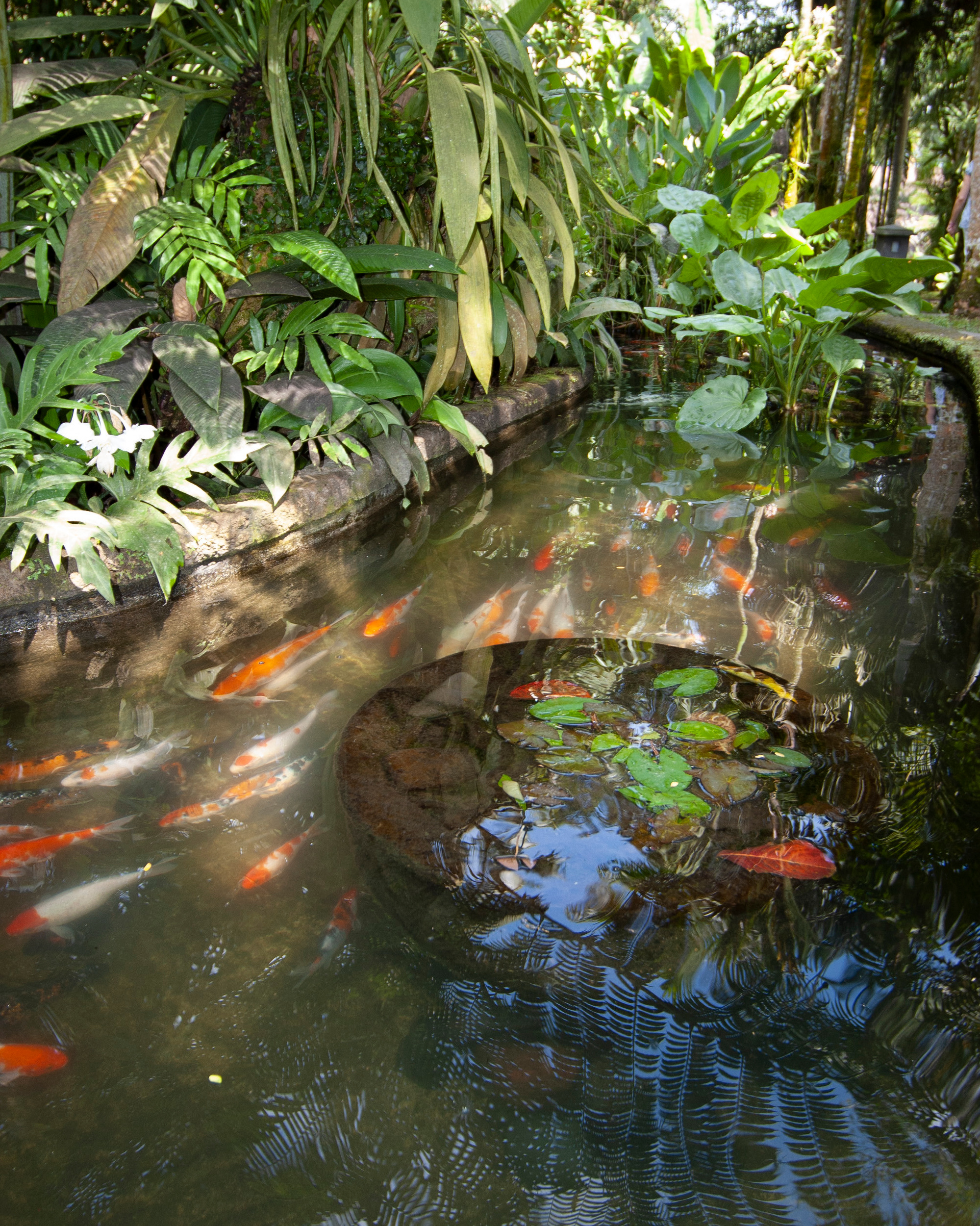 Стоимость услуг — Фотограф Татьяна Байкова. Фотограф Татьяна Байкова — официальный сайт