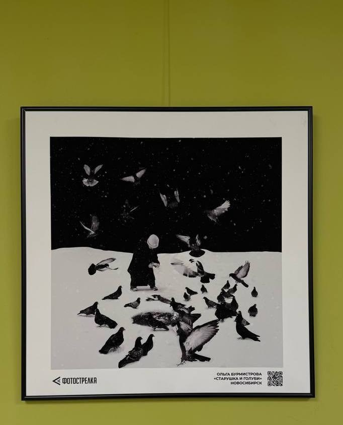 Групповые выставки / Group exhibitions. Visual artist Olga Burmistrova