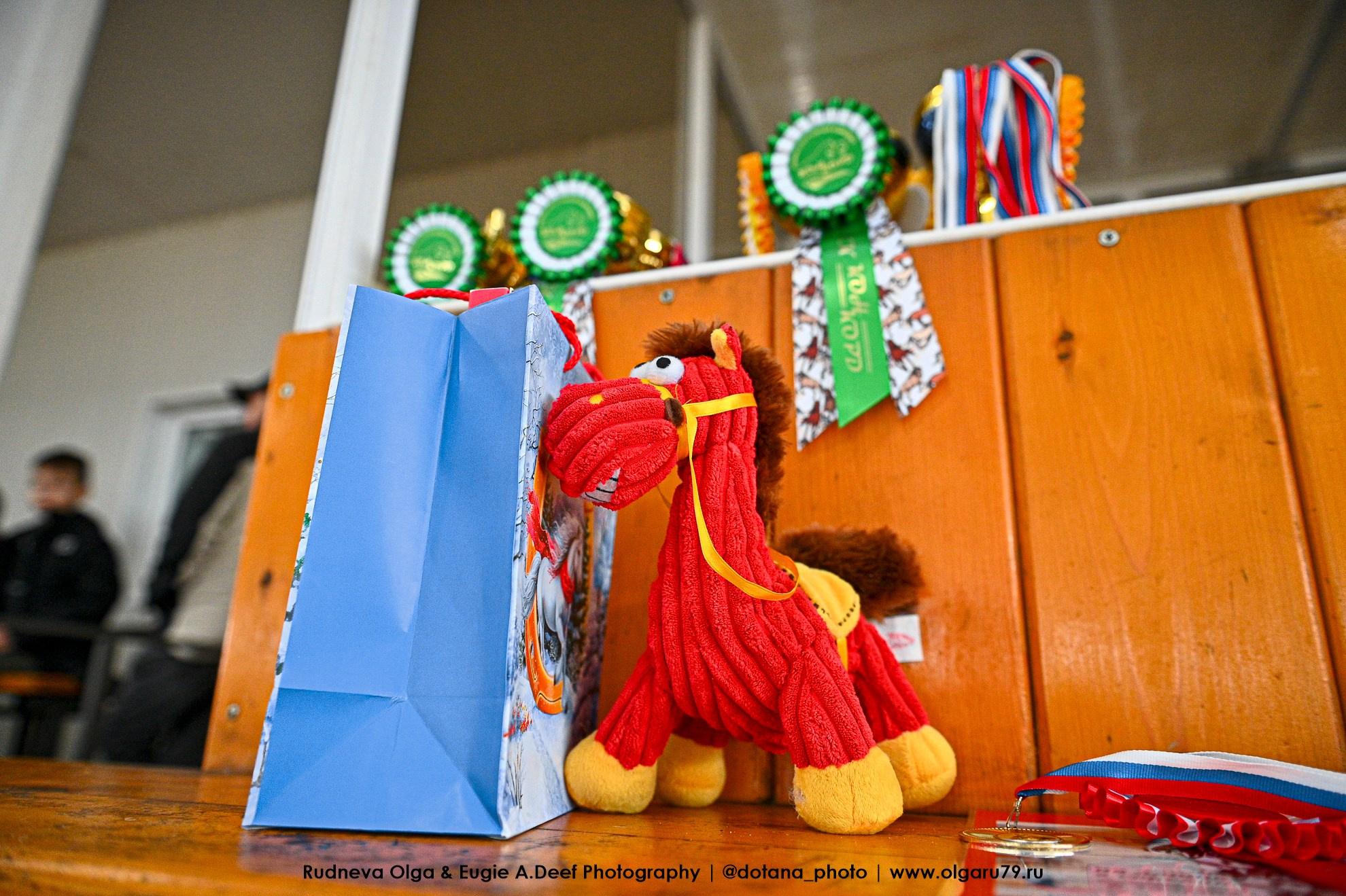 2026-02-22 — КСК КОНКОРД, конкур. ТУРНИРНАЯ КОННАЯ ФОТОГРАФИЯ, Руднева Ольга и Евгений Адеев