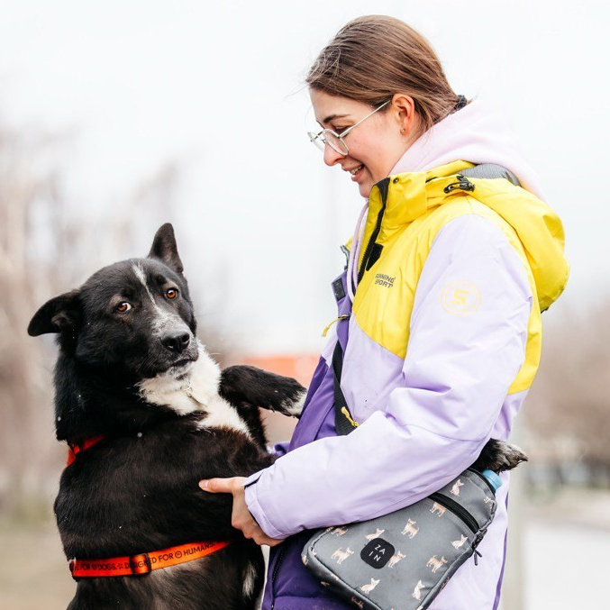 О нас. Забери домой друга