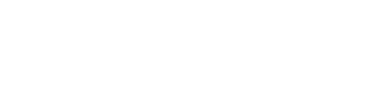 sofiakholina.wfolio.pro