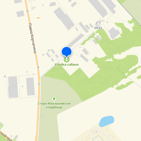 Контакты. Улыбка собаки — спасение и пристройство бездомных собак