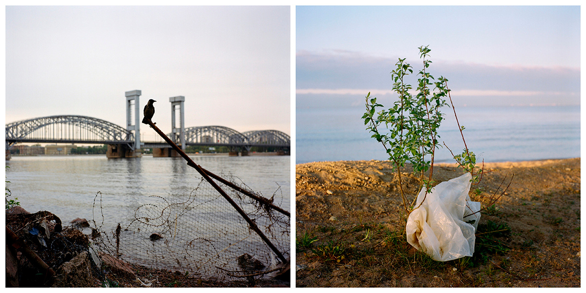 Екатерина Васильева художник, куратор и преподаватель
