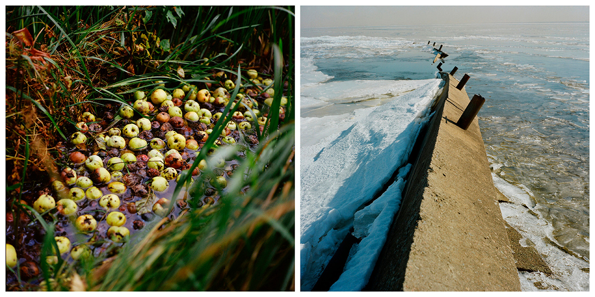 Екатерина Васильева художник, куратор и преподаватель