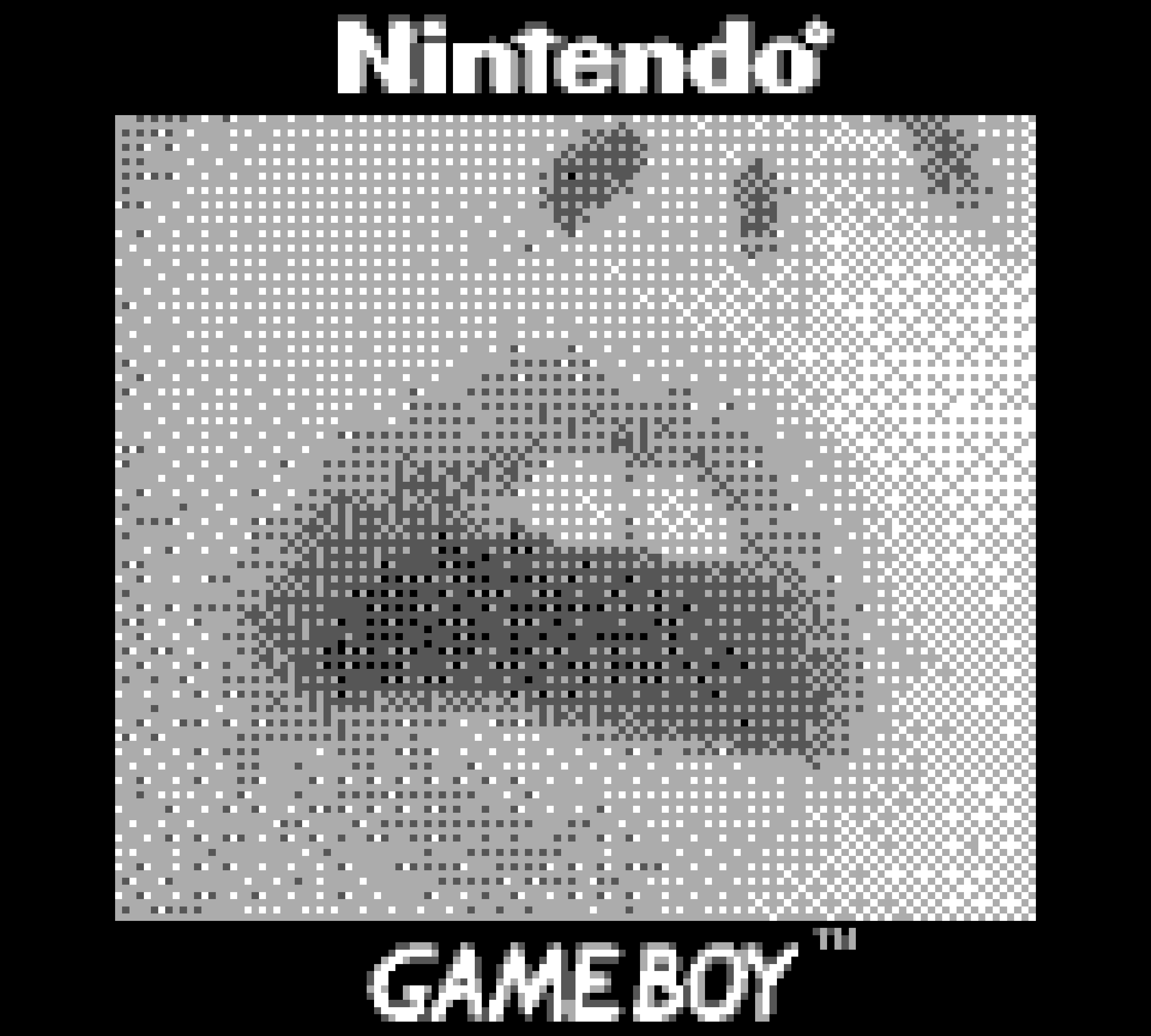GAMEBOY. Anastasia Sukhoparova artist photographer
