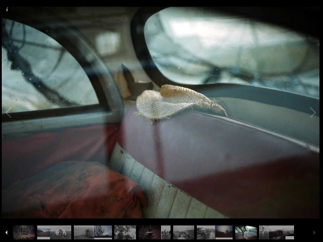 Екатерина Васильева художник, куратор и преподаватель