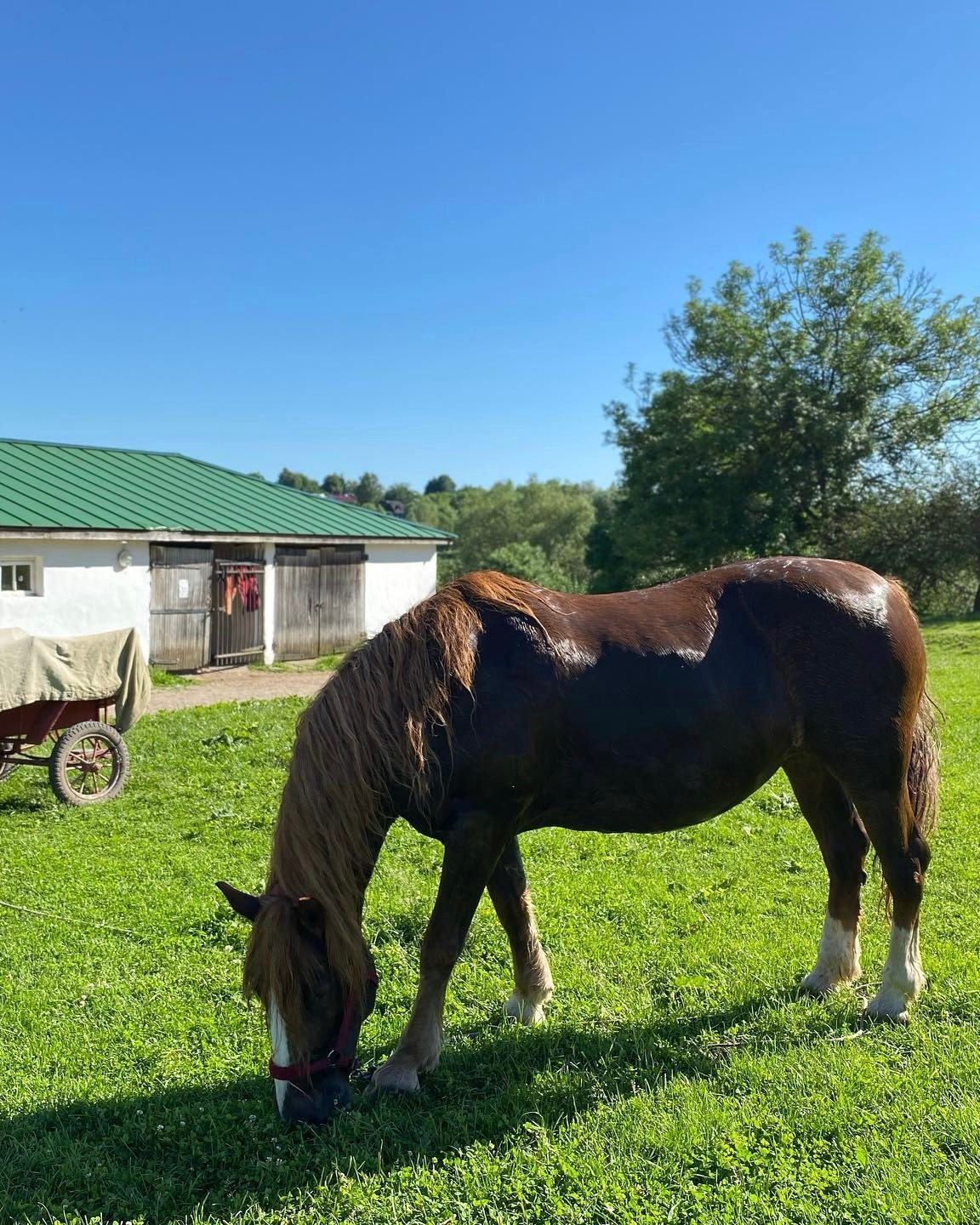 Усадьбы. Экскурсовод по Москве Беляева Валентина