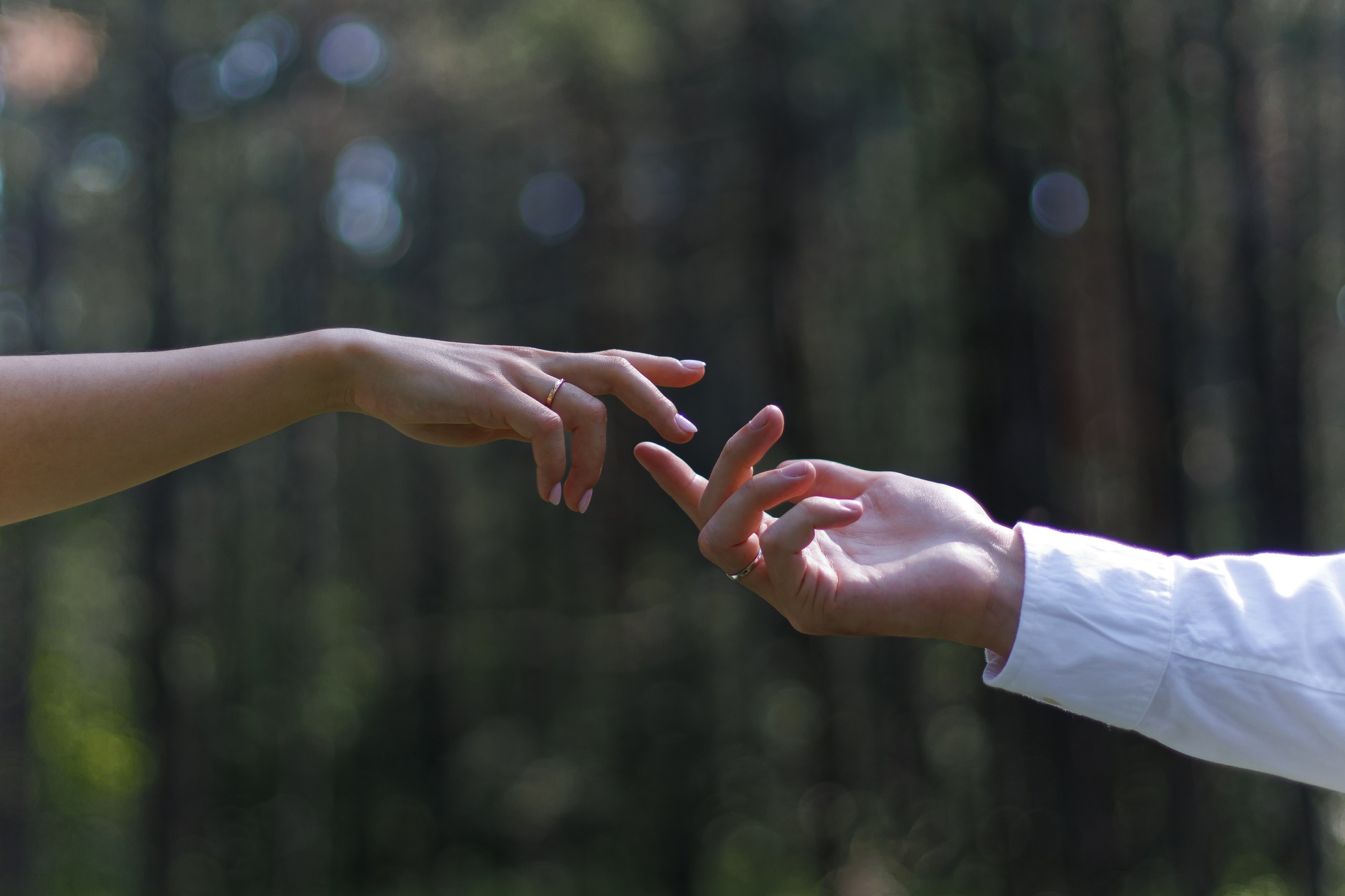 Контакты. Свадебный фотограф