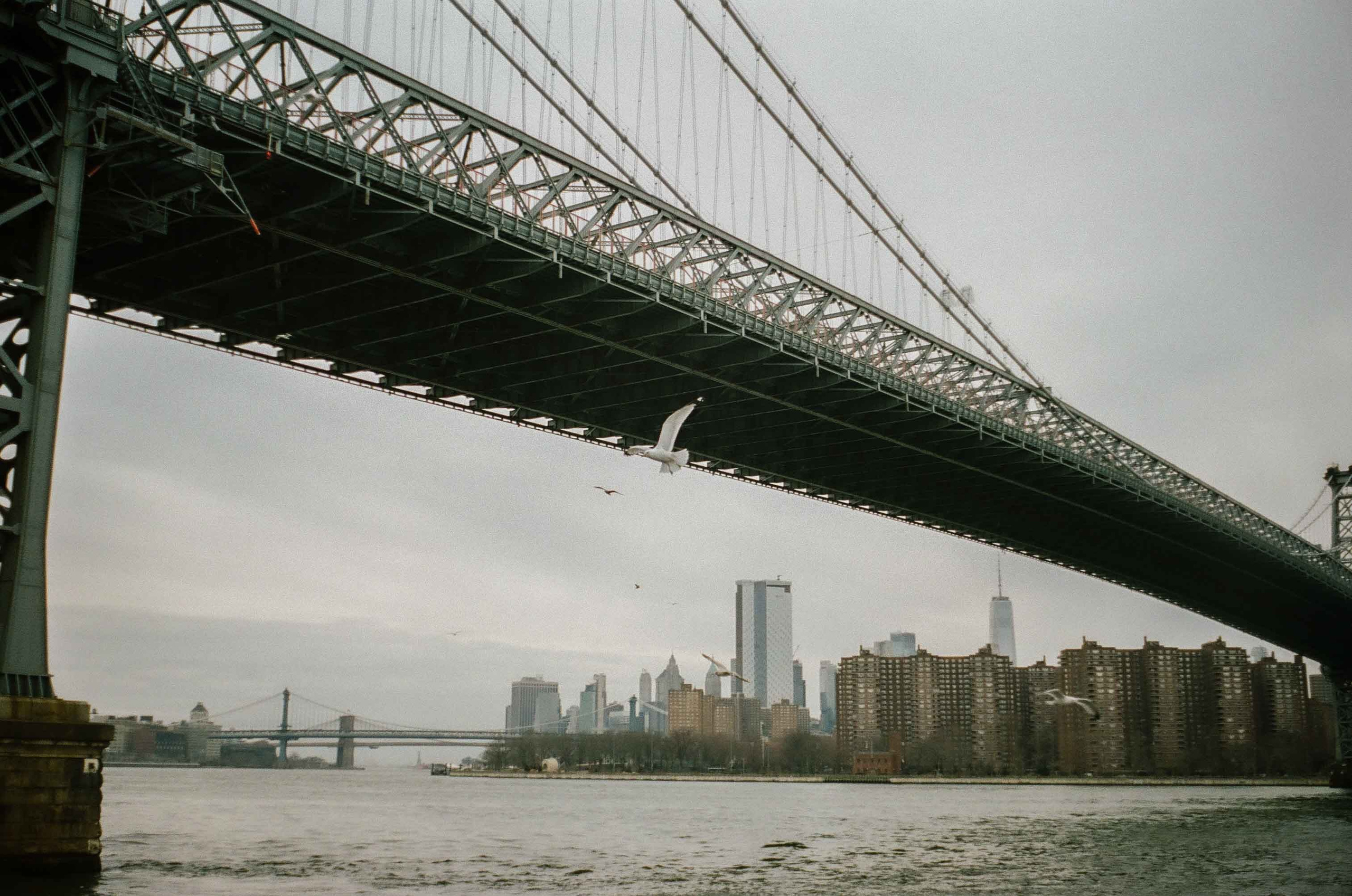 WILLIAMSBURG AS IT WAS. Anna Esquilin Art Photographer
