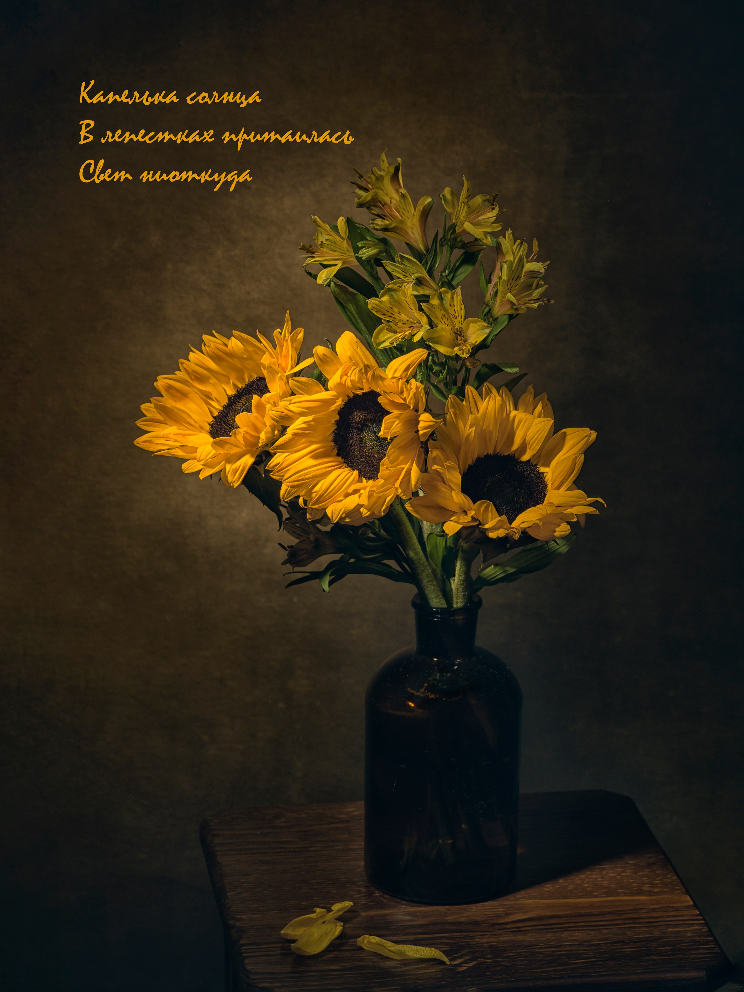 Фотопроект «Primavera». Портретный фотограф в Челябинске Катерина Руди