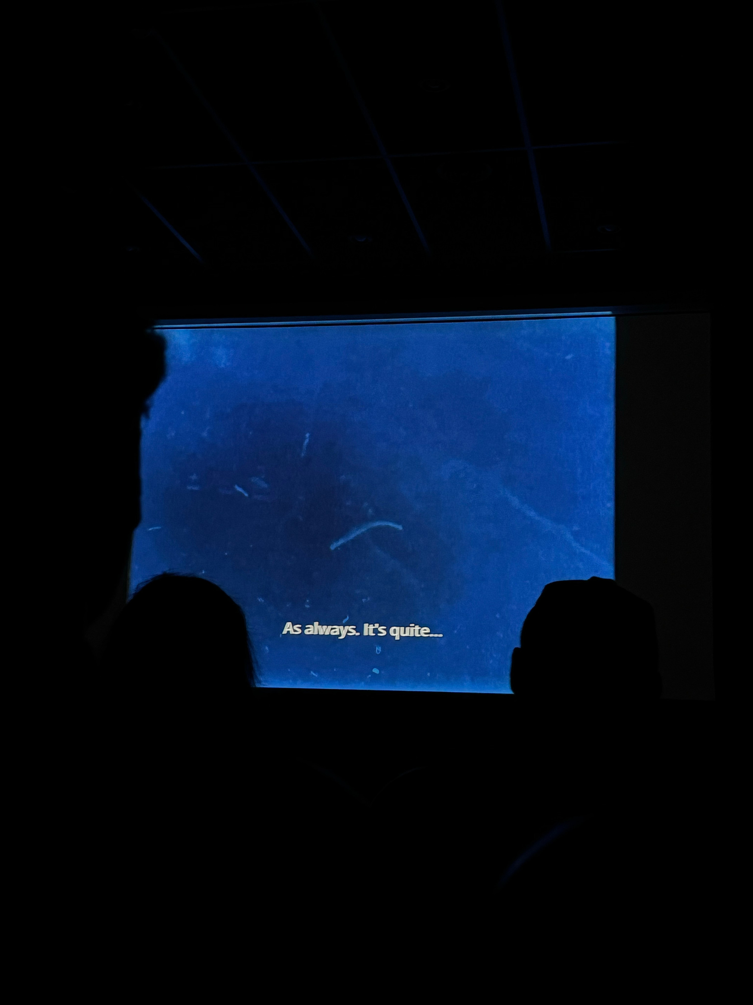 С 13 мая 2025 года в арт-резиденции Катиция