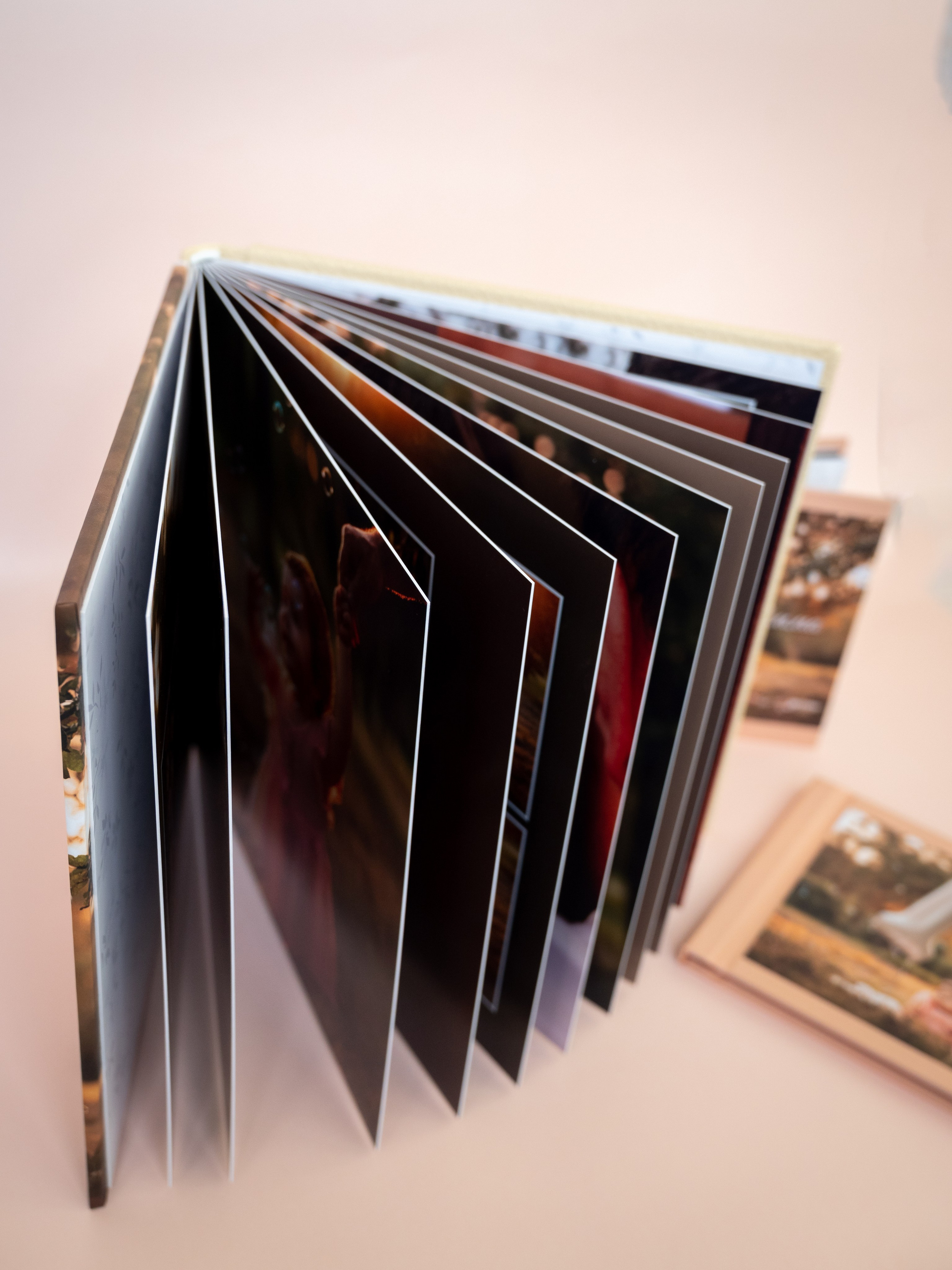 Семейный фотограф в Минске. Фотограф в Минске Дарья Кончакова