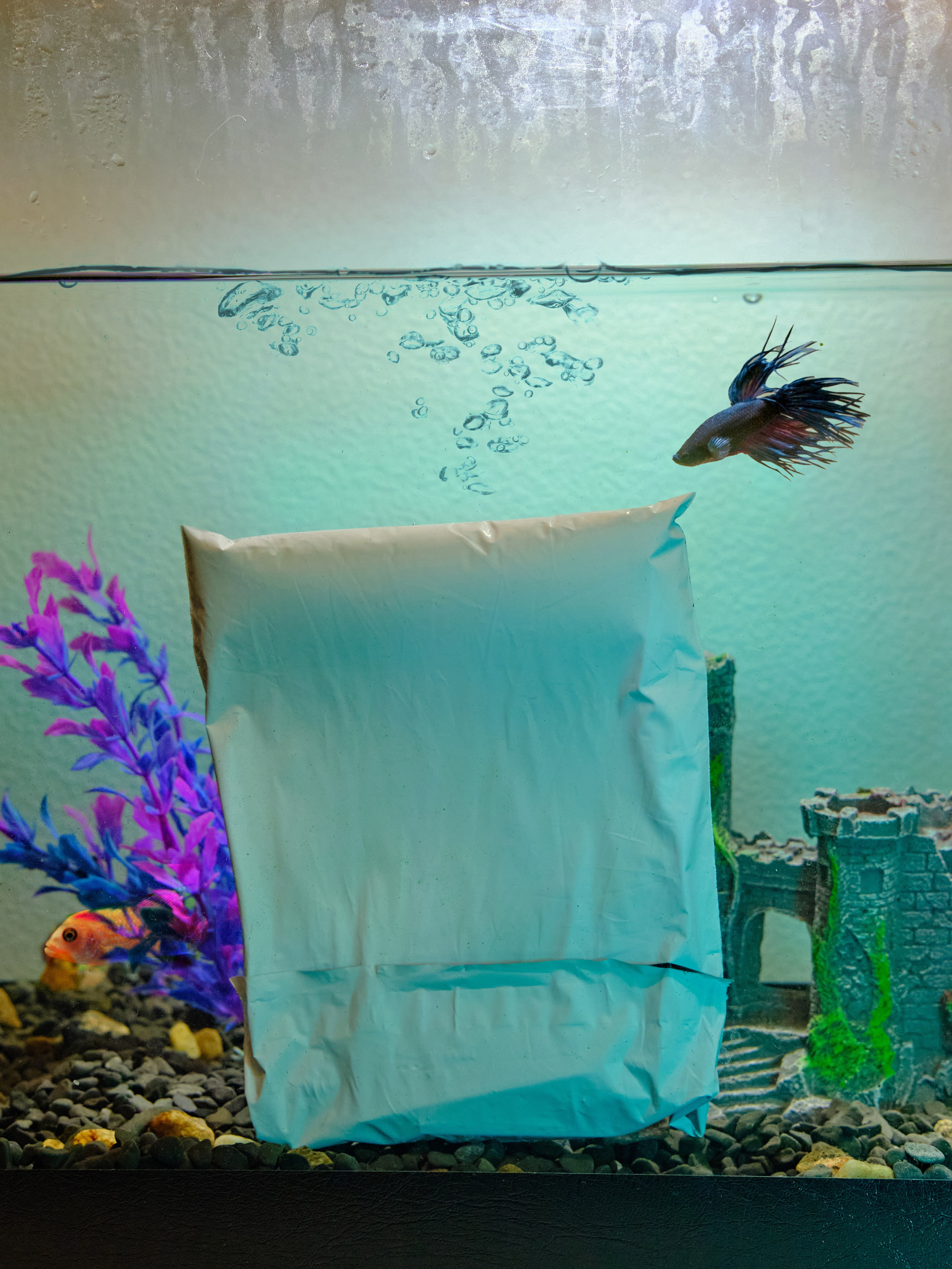 Контентная съемка. К-КАДР — выпускные альбомы для детского сада, семейные фотографии, предметная и модельная съемка в СПб