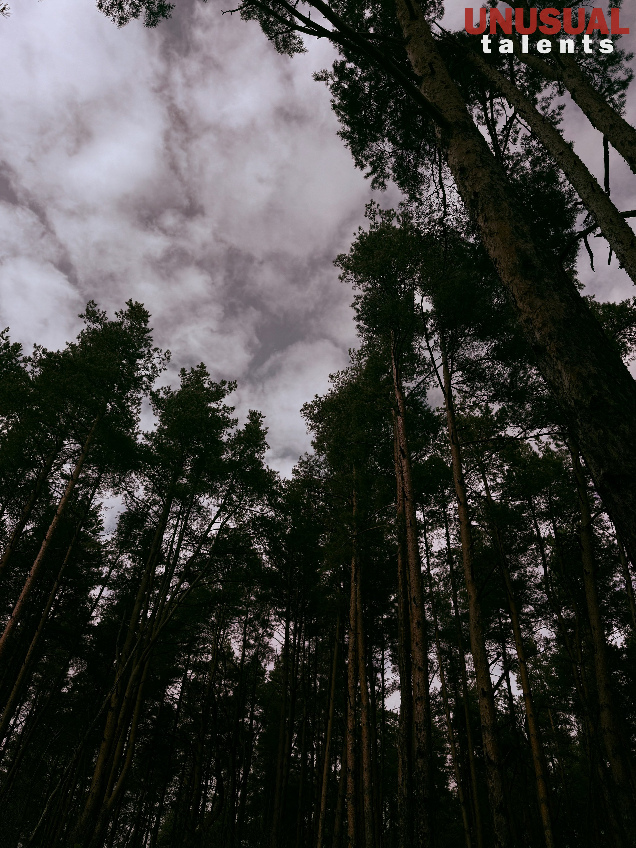 November 2025. UNUSUAL TALENT magazine