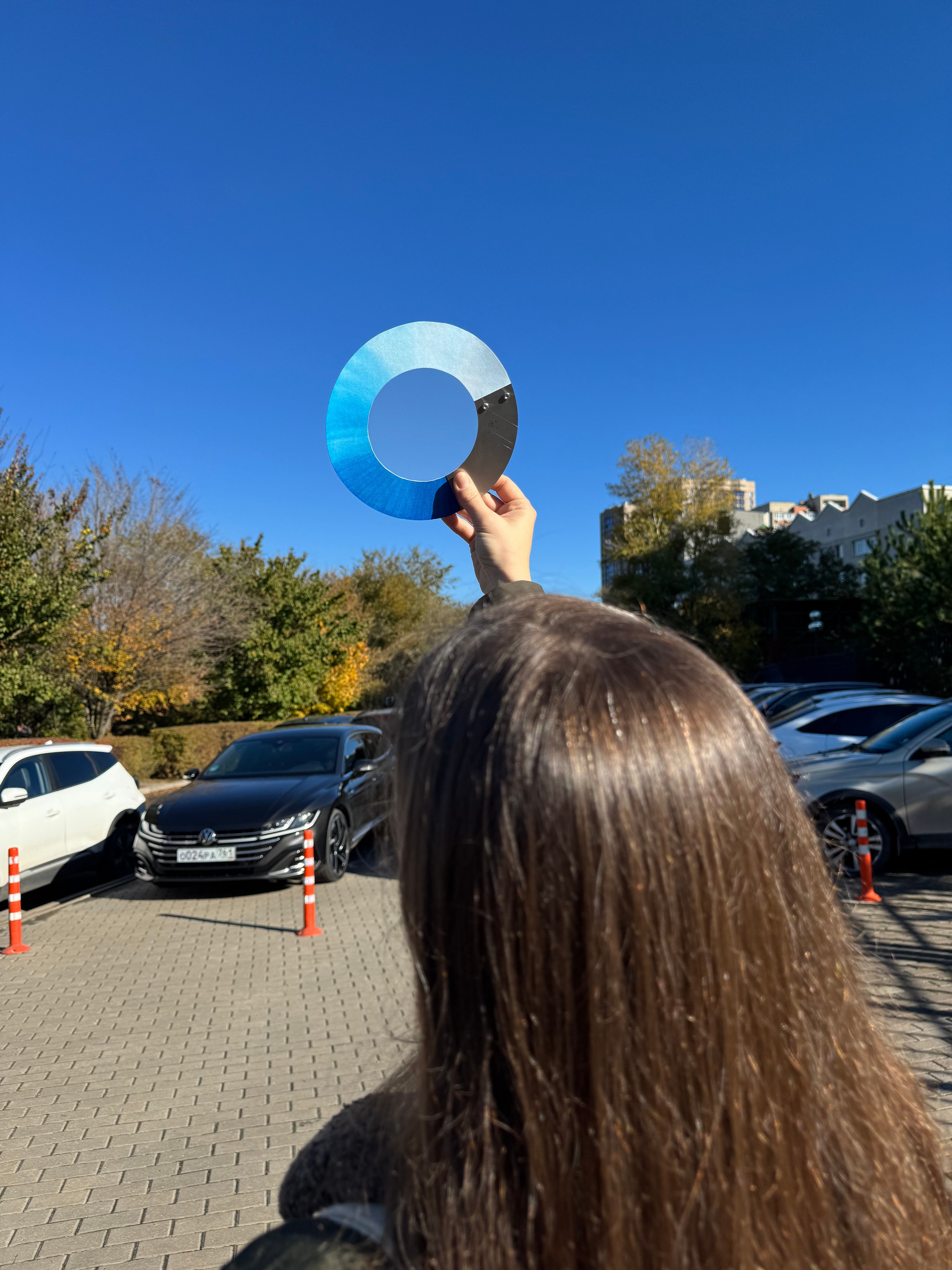 И-р «Диск с металлической вставкой». KRUS group