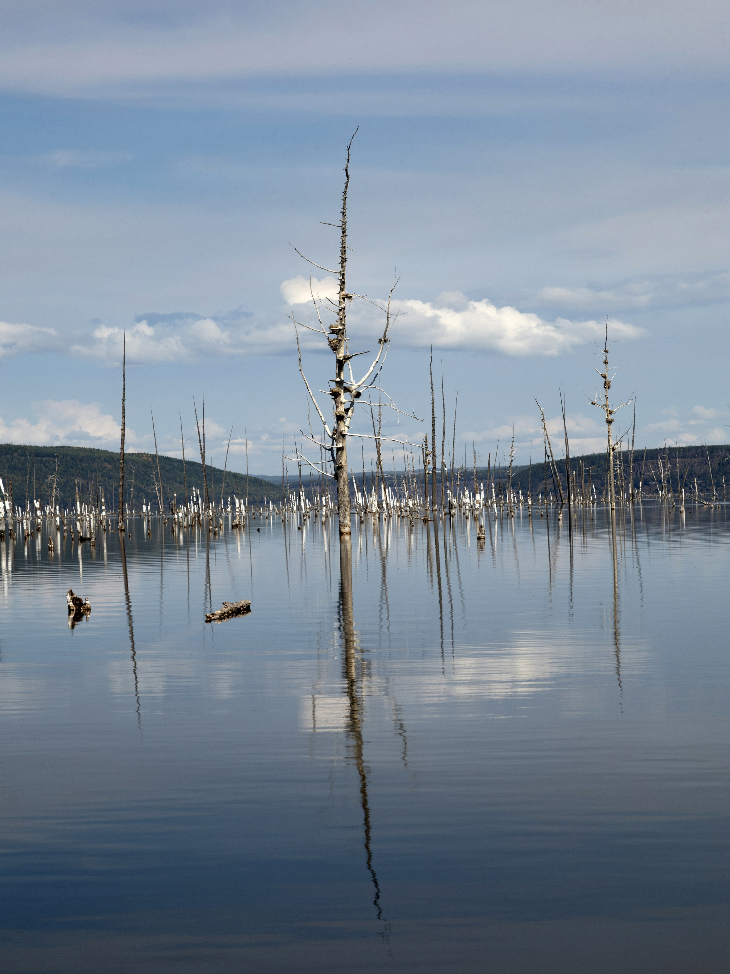 Шишкина Елена. ARTEXPOPHOTO