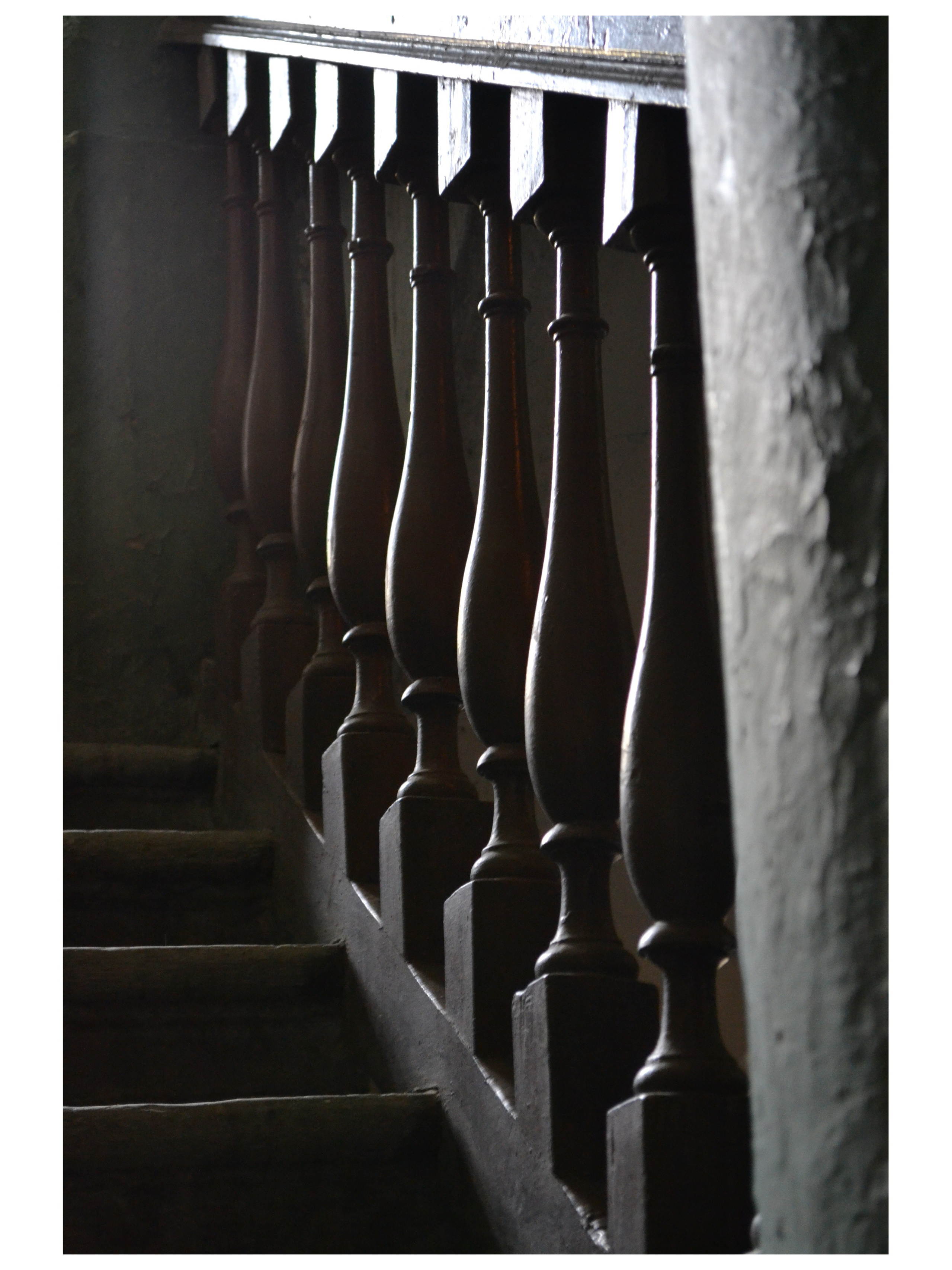 Костенко Анна. ARTEXPOPHOTO