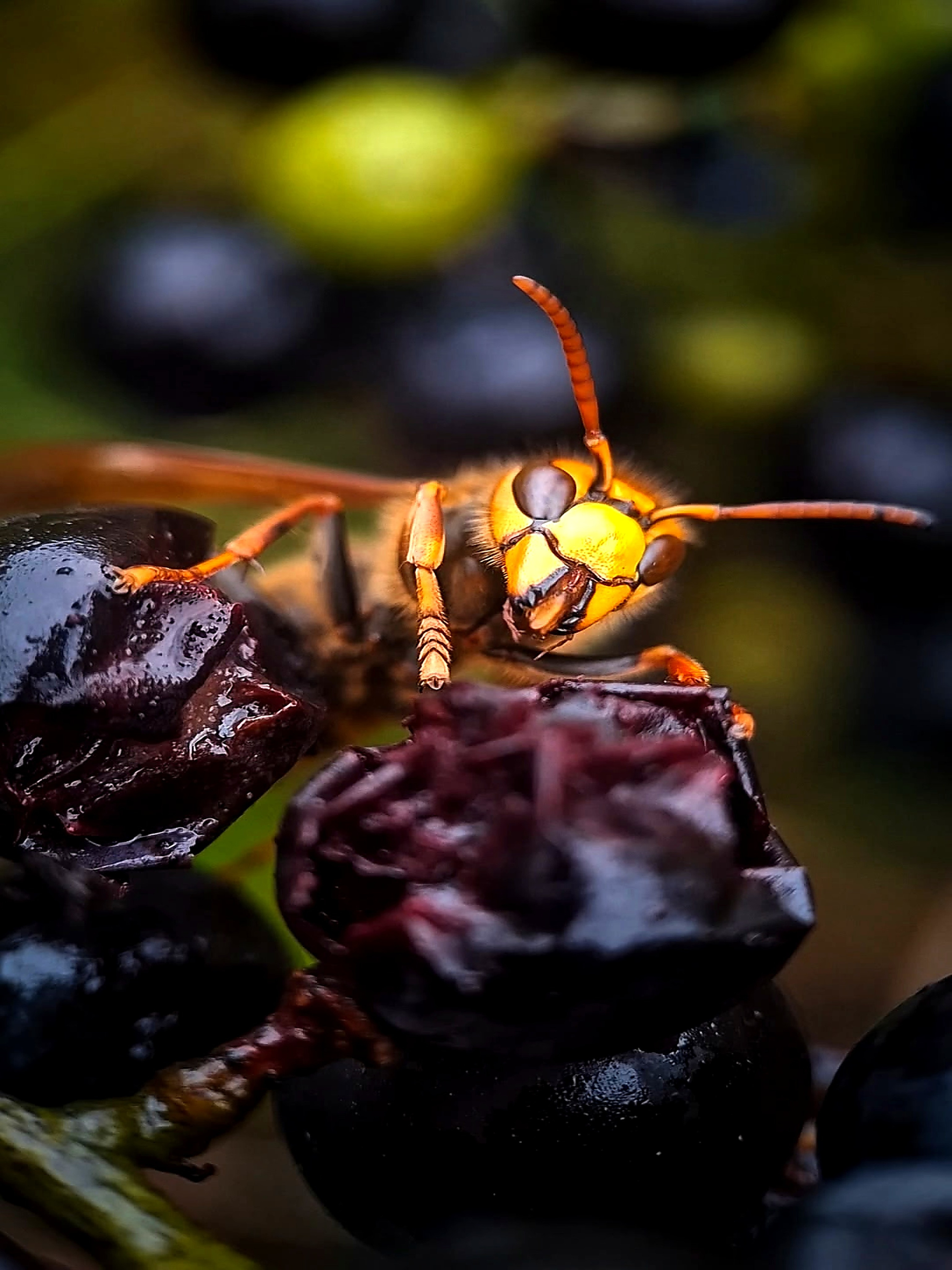 Кириллова Татьяна. ARTEXPOPHOTO