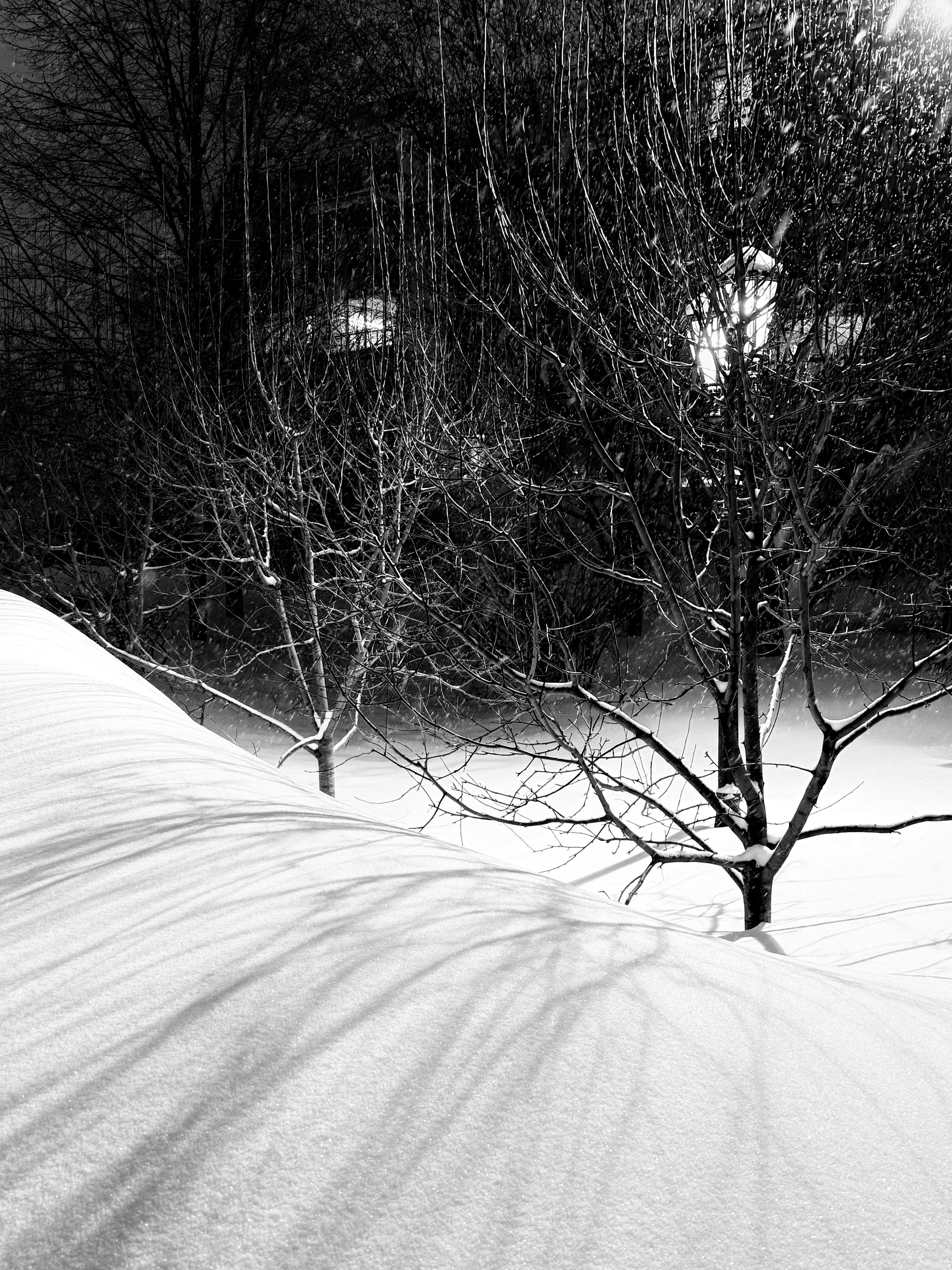 Невинская Надежда. ARTEXPOPHOTO