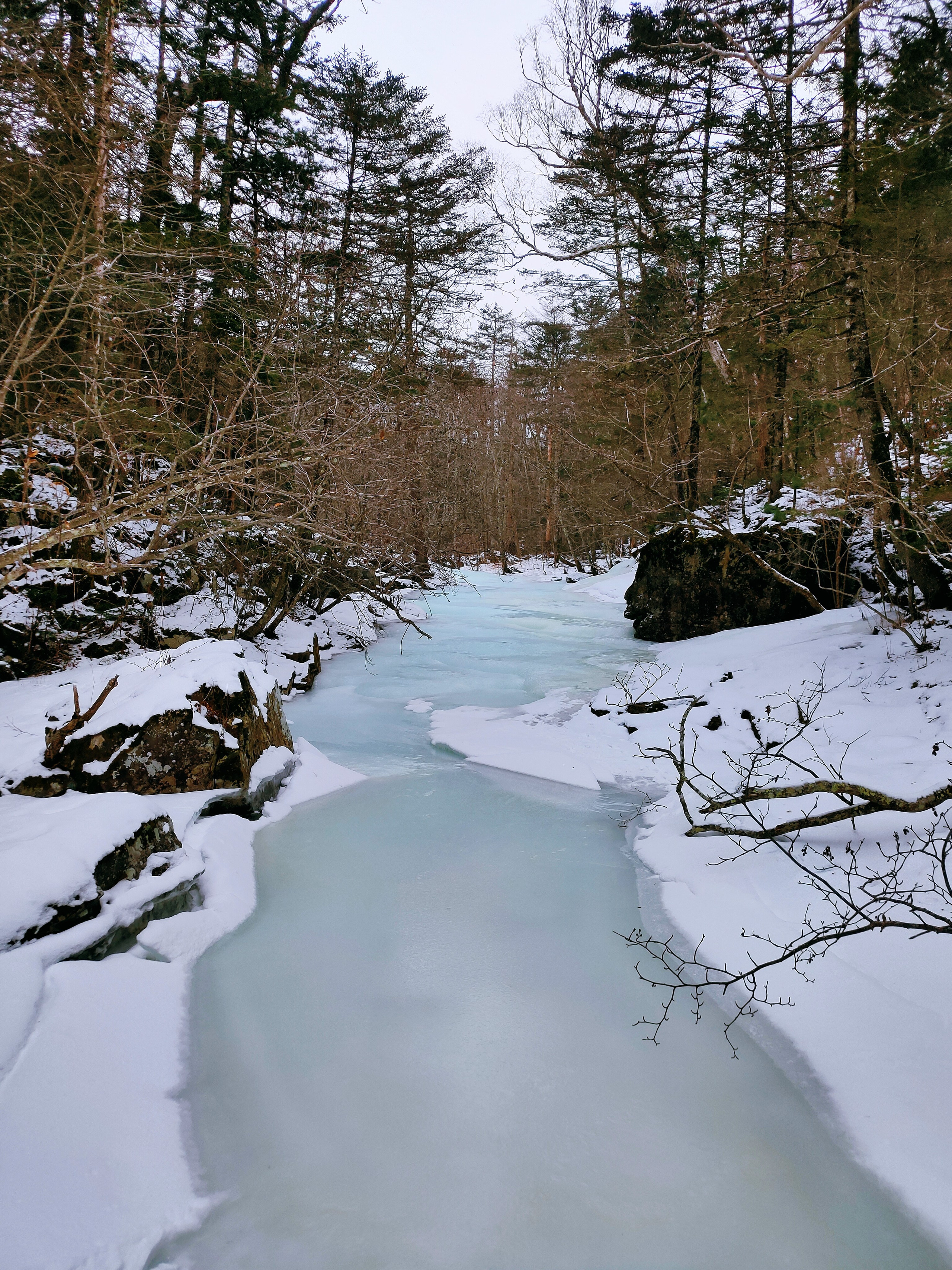 Альтернативная дорога до беседки ушуистов зимой - подъём по Смольному ключу