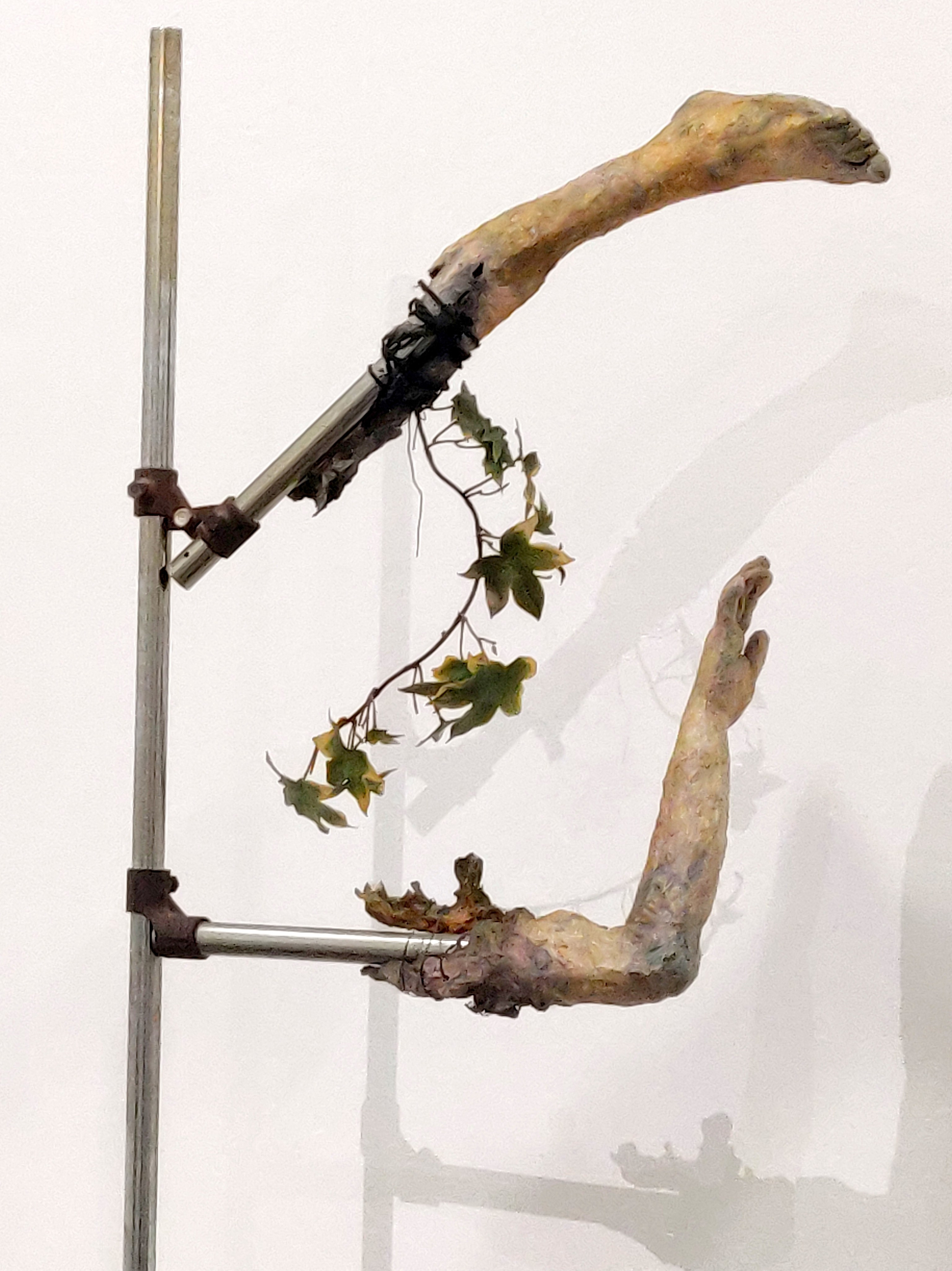 Современное искусство Европы в 2024 году — 2 сезон