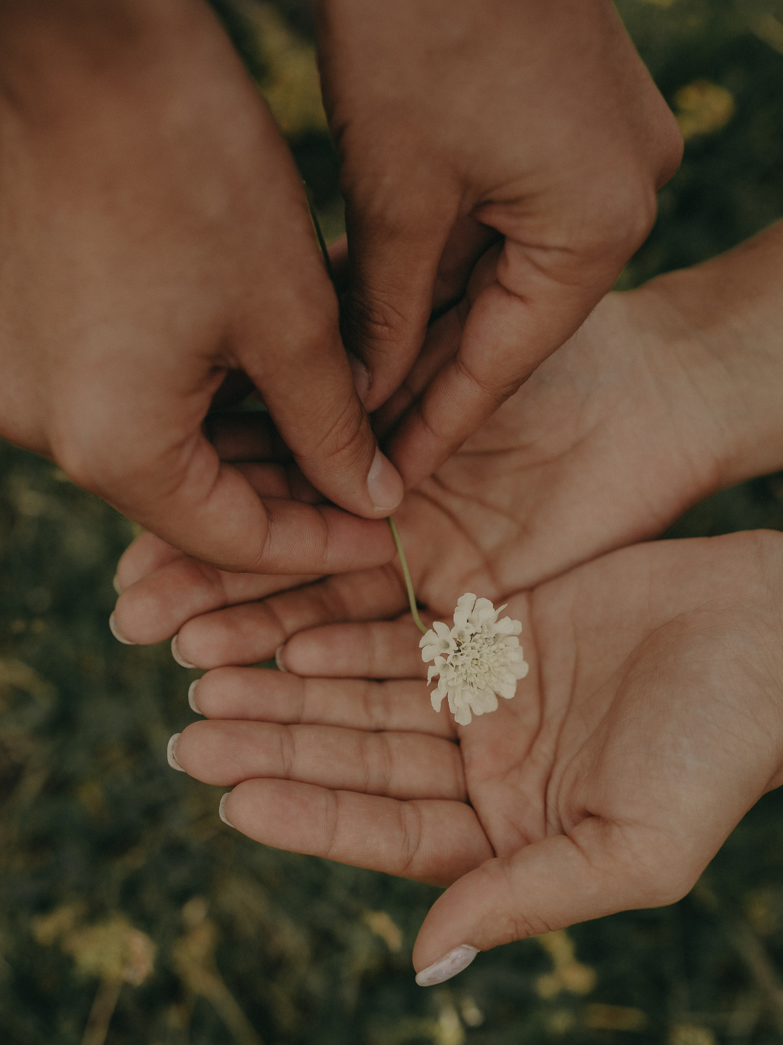 Услуги. Фотограф в Волгограде и Ростов-на-Дону Анастасия Панфилова