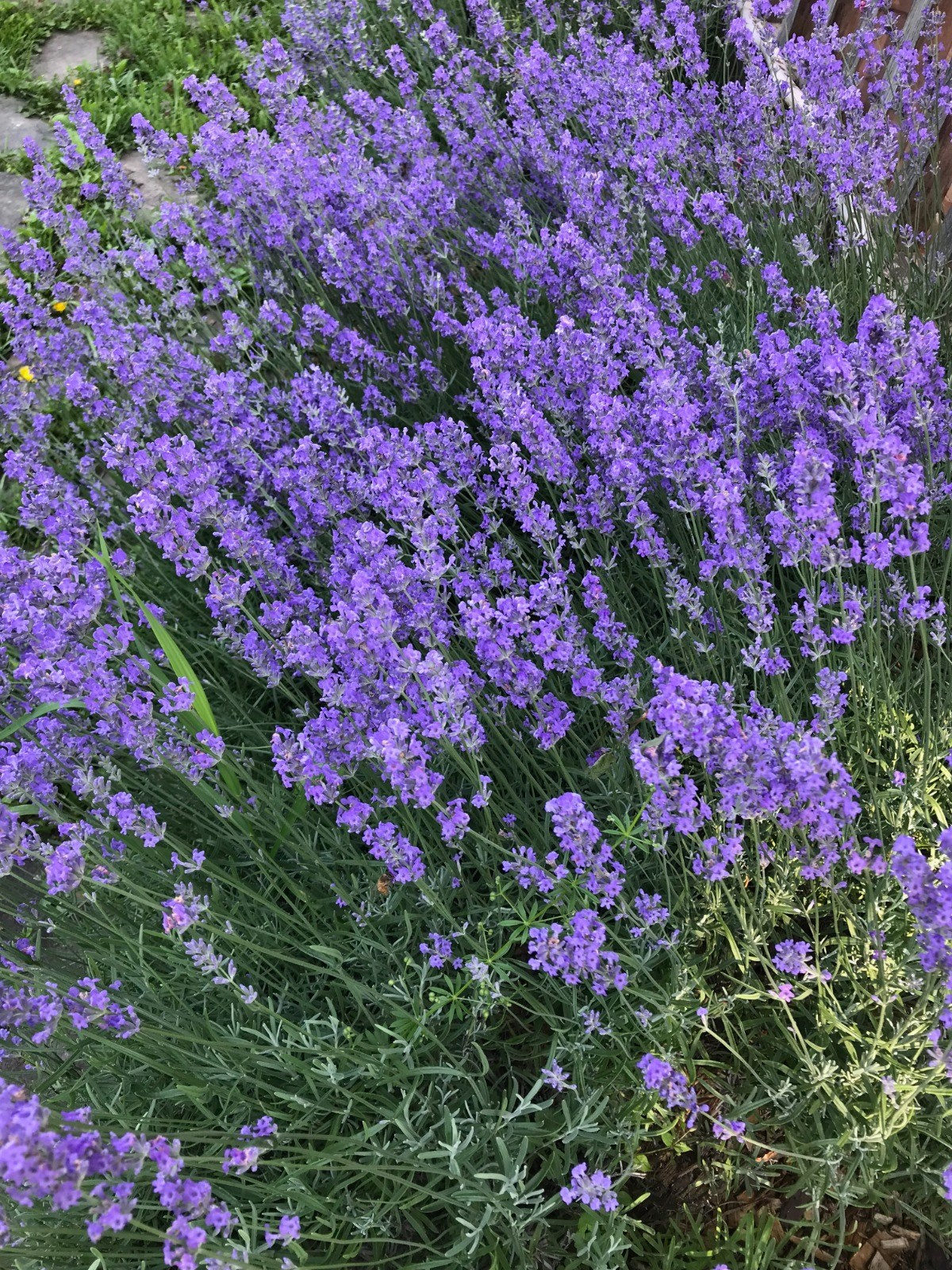 Дочка с внуками на экоферме. Эко отдых в Подмосковье в эко-отеле Марии Гиппенрейтер