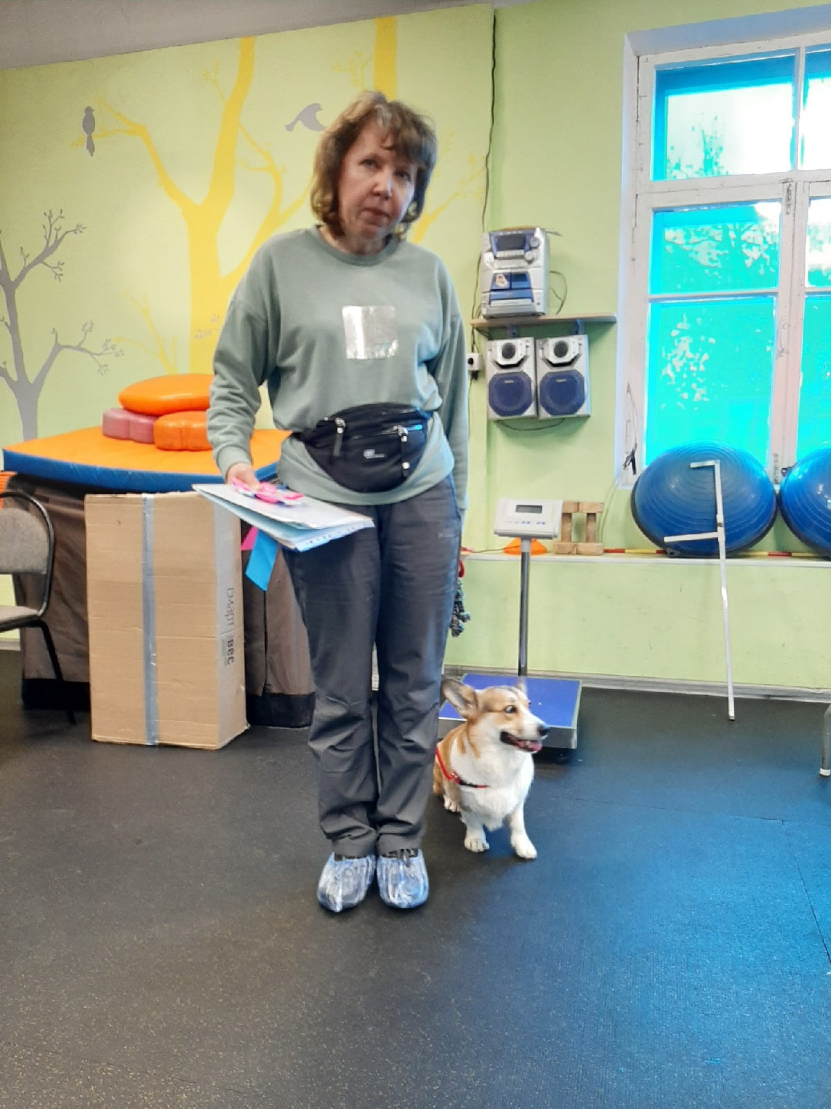 Племенной смотр. Судья РКФ/FCI — Эльвира Викторовна Сандакова. НРОО КЦ "Собаковод"