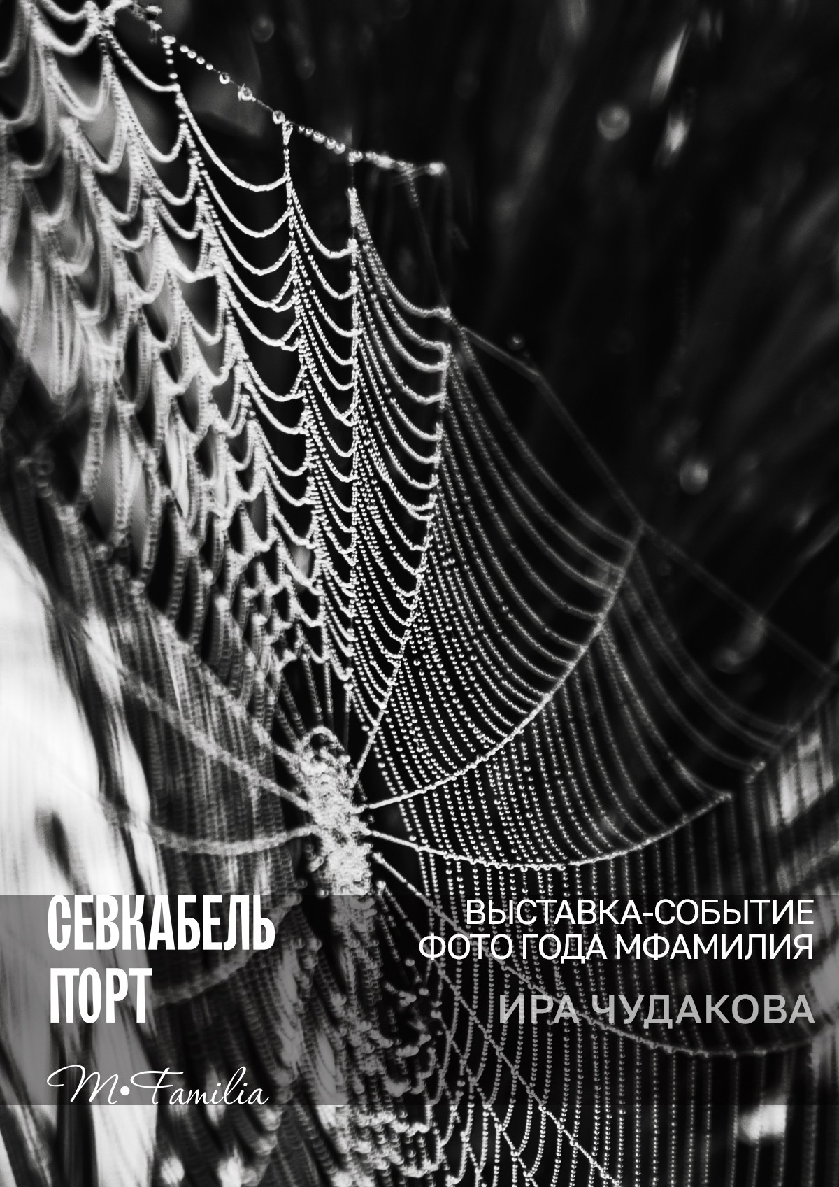 Фотограф Этери Кублашвили участник выставки ФОТО ГОДА MFamilia