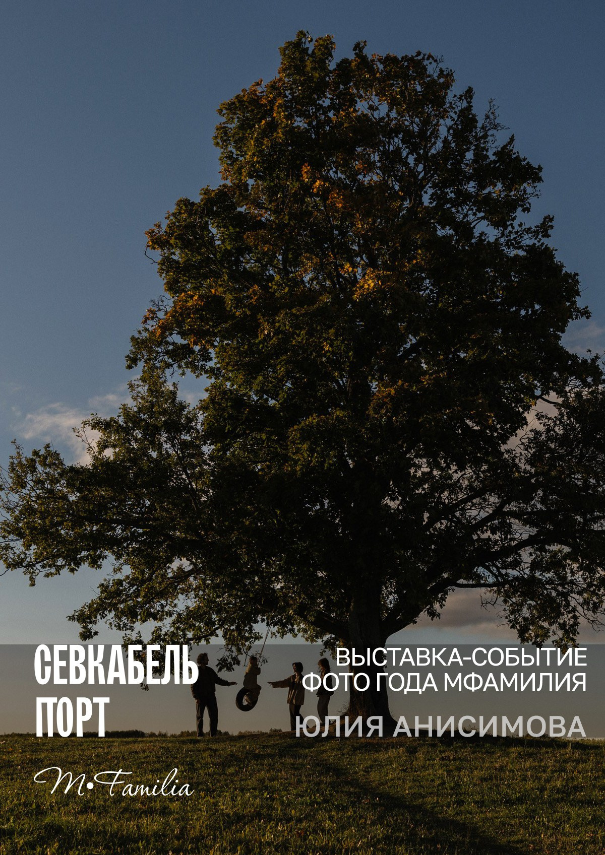 Анисимова Юлия. Организация фотовыставок в Петербурге и Москве, MFamilia (МФамилия)