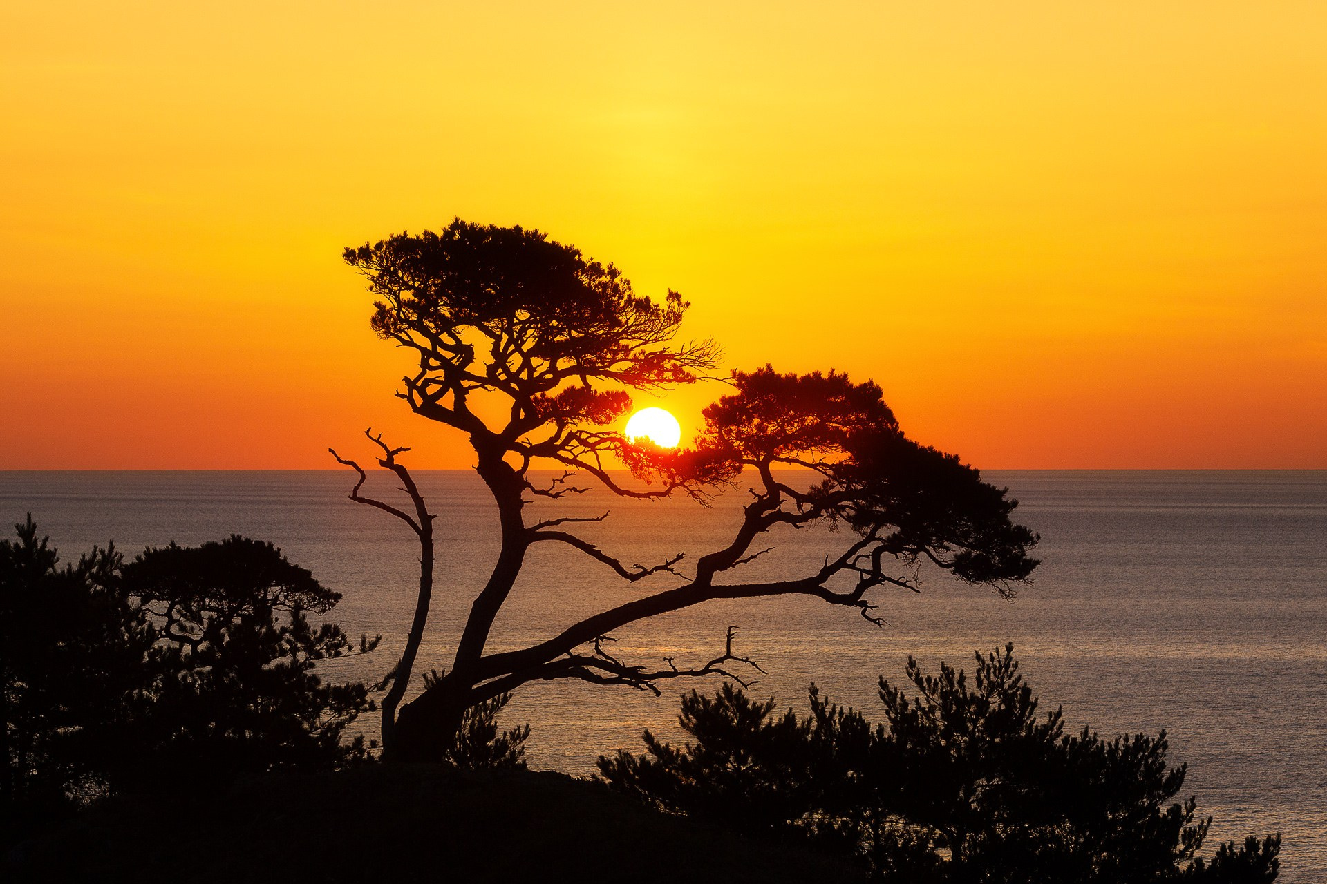 Фототур по Приморью. Фототуры и обучение пейзажной фотографии