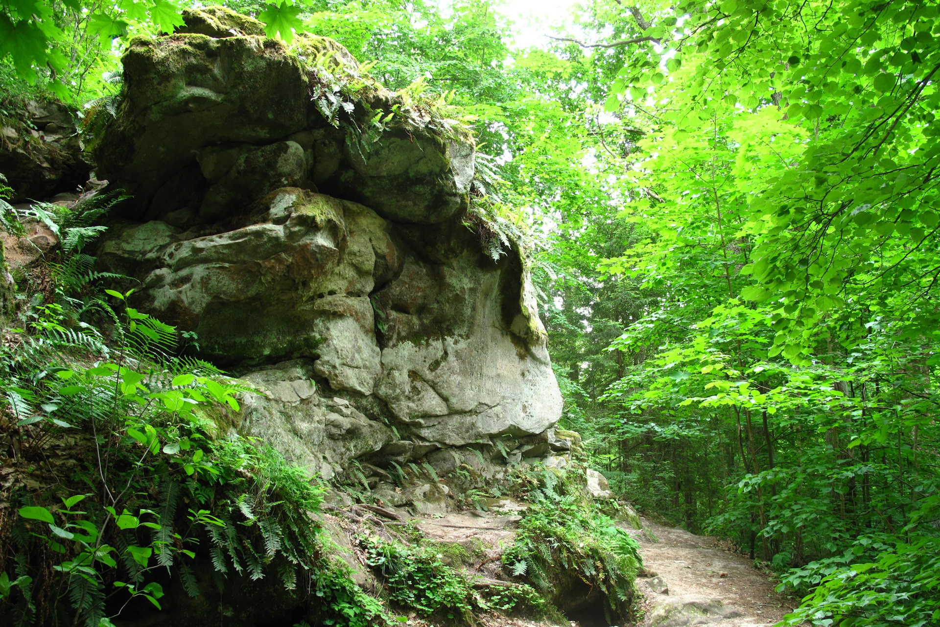 Чем заняться. Снять дом в Козельске — аренда домов с видом на Оптина Пустынь