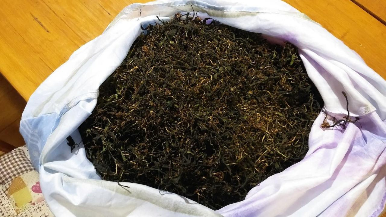 Экопродукция в Подмосковье. Эко отдых в Подмосковье в эко-отеле Марии Гиппенрейтер