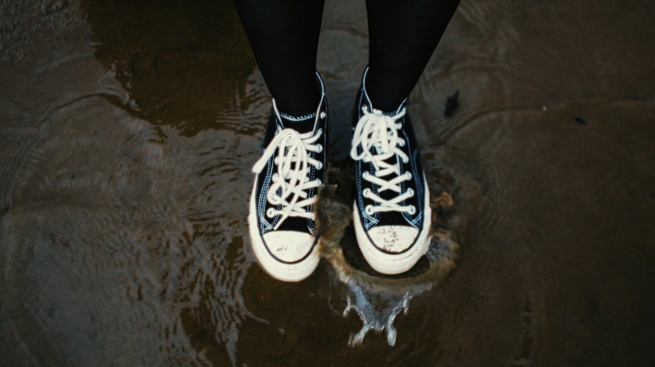 Обучение. Orliphoto_