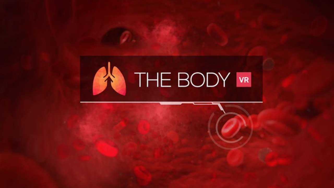 Классические VR Игры. Клуб виртуальной реальности Абакан — PortVR Club